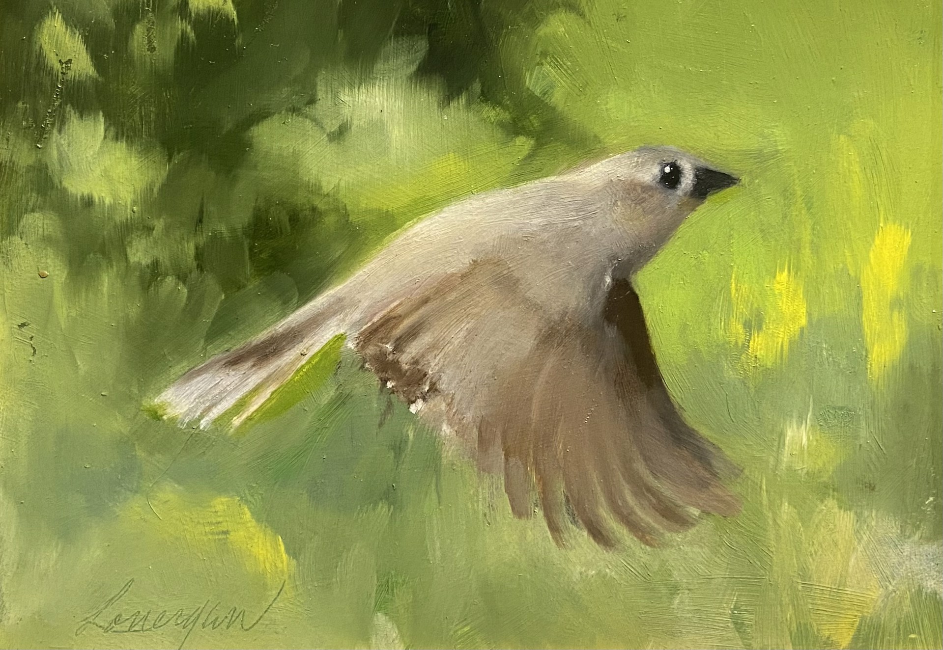 Bird in Flight by John Lonergan