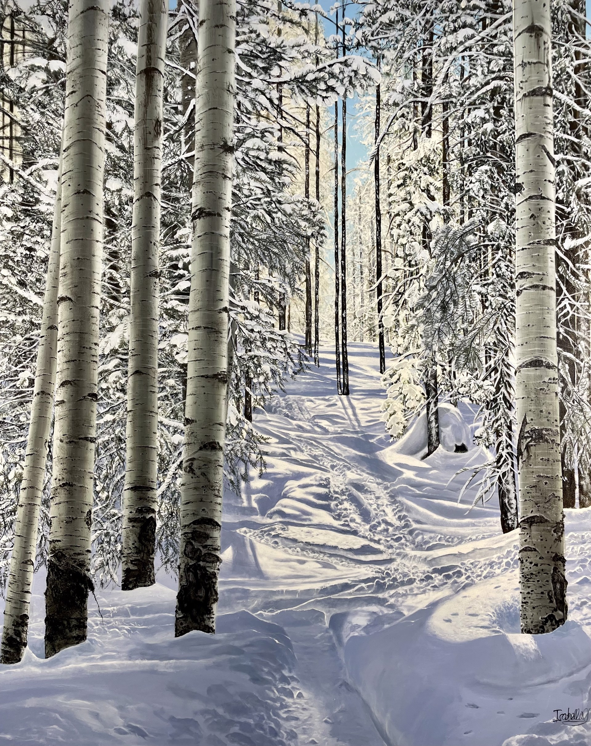 Somewhere on Burnt Mountain Glades by Isabella Garaffa