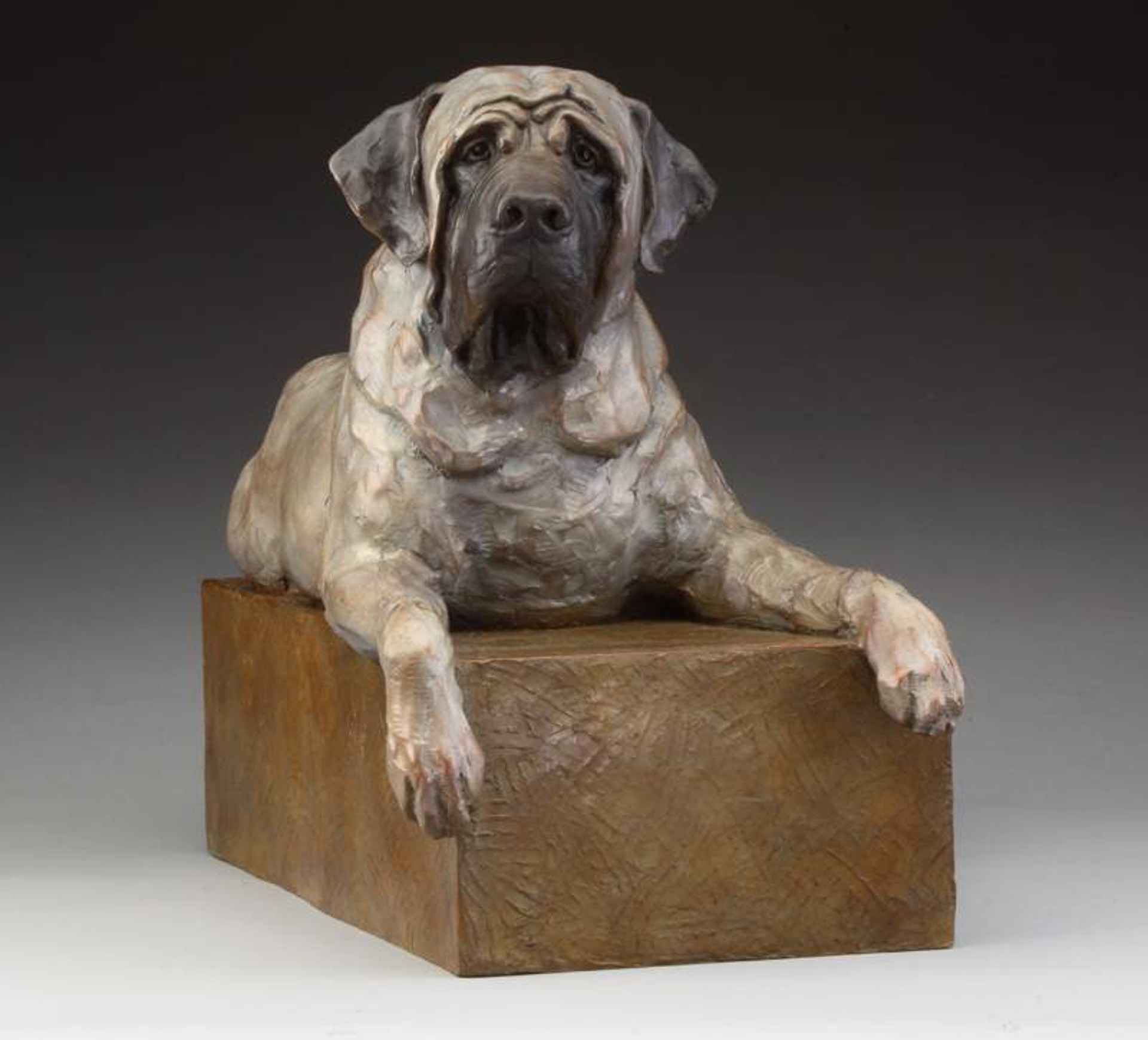 Mastiff  (Ed. of 30) by Daniel Glanz (sculptor)