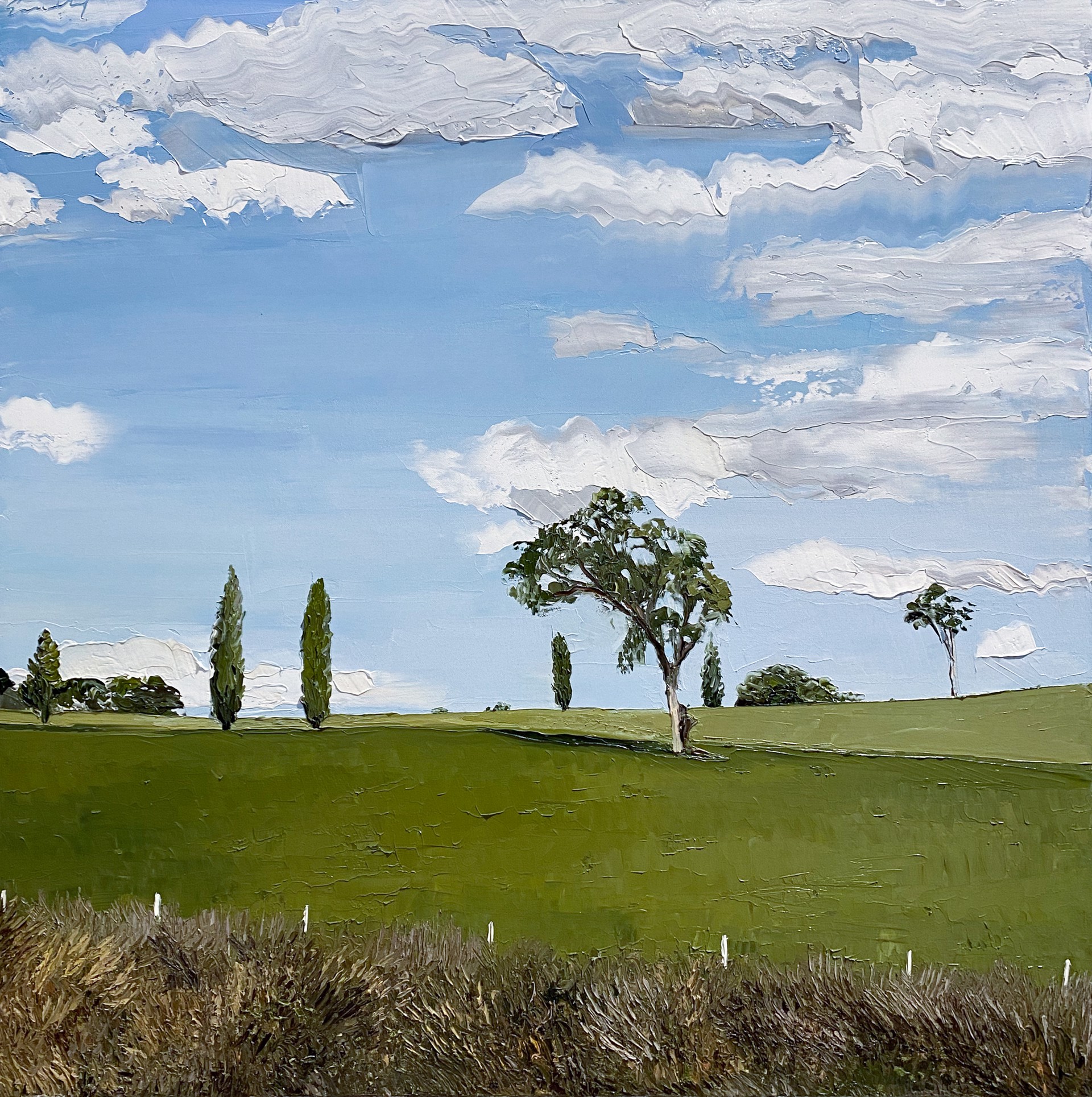 Trees and Clouds (Hume Highway, Murrimba) by Emily Persson