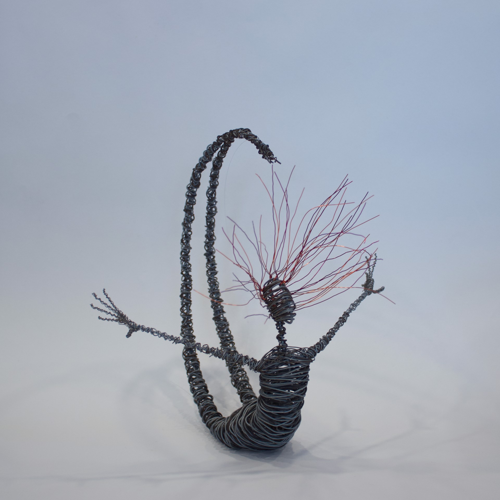 Suspended by Rachel Ducker