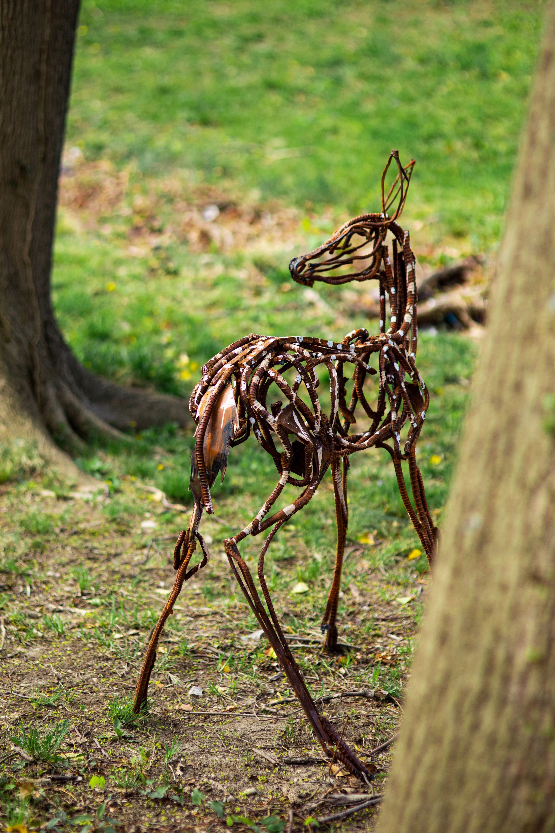 New Fawn by Wendy Klemperer
