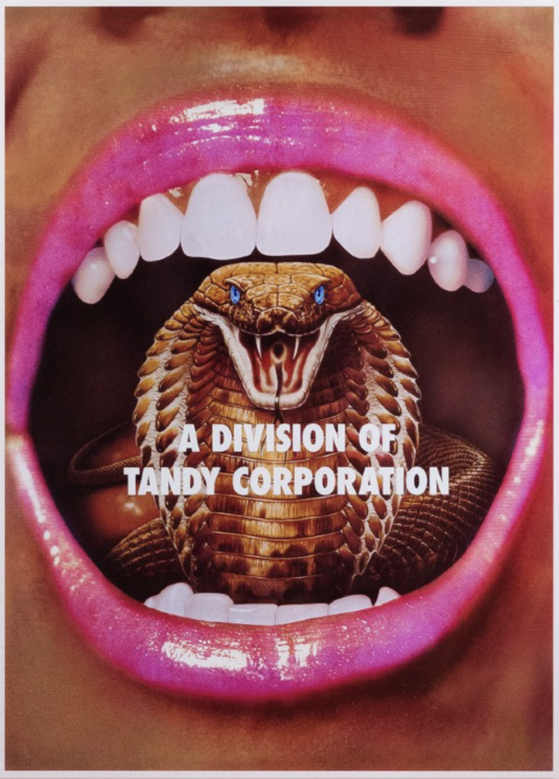 A Division of Tandy Corporation by Reed Weily