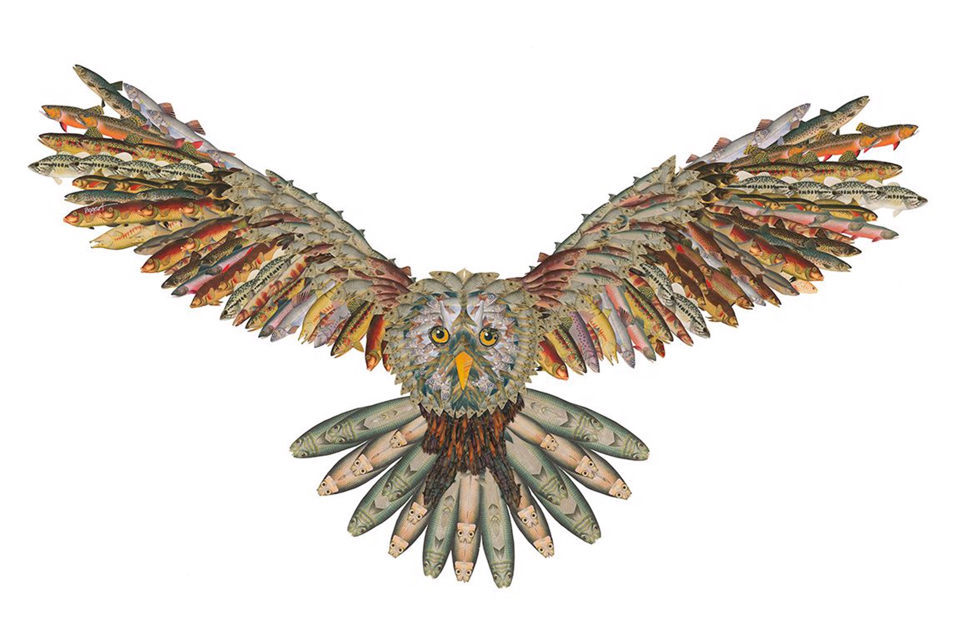 Flying Owl III by Brenda Bogart - Prints