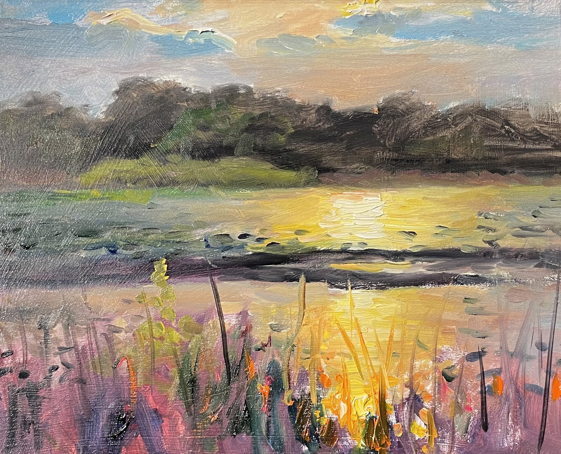 Lake Prevatt Glare by Tom Sadler