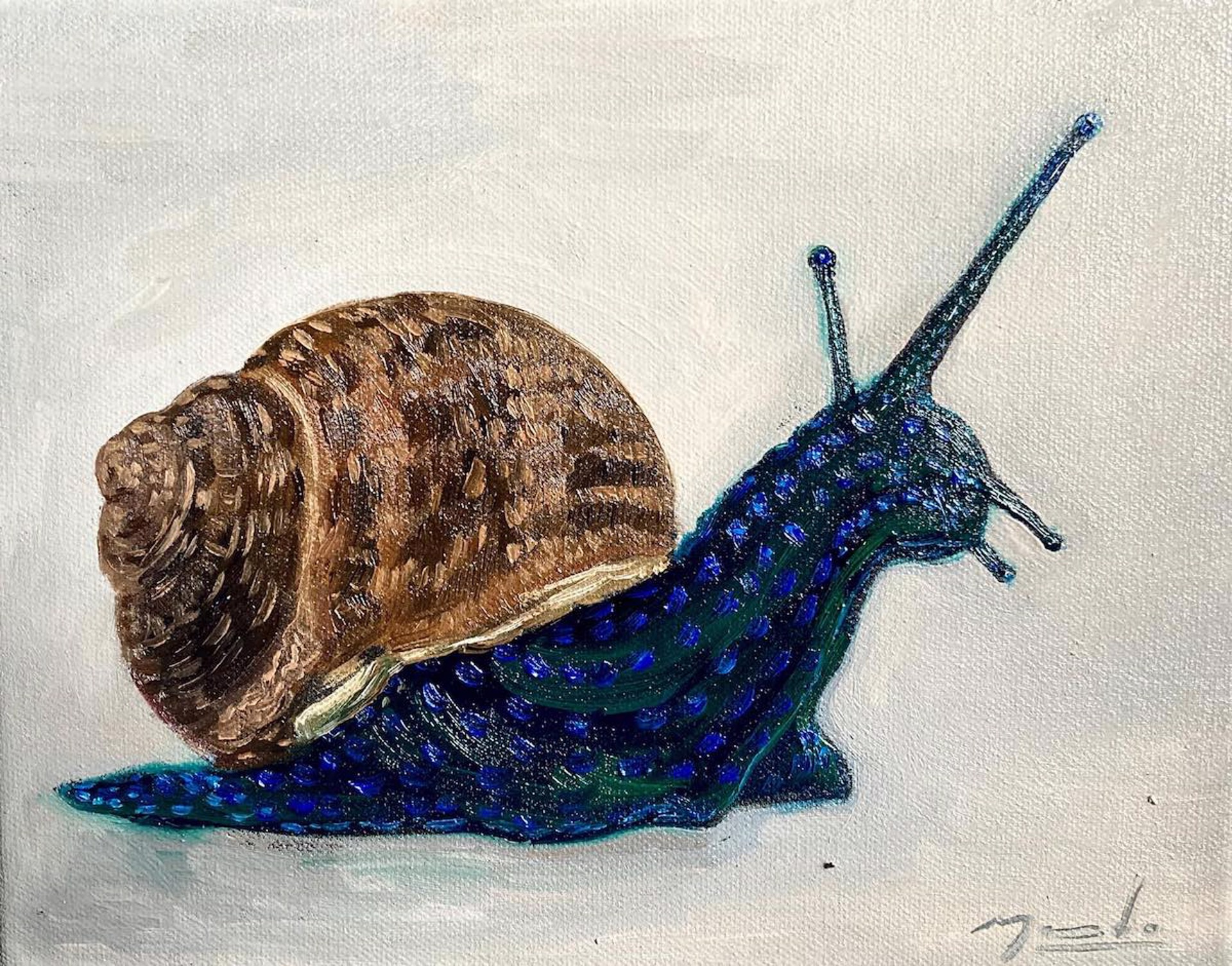 Blue Dotted Snail by Gerardo Madrigal