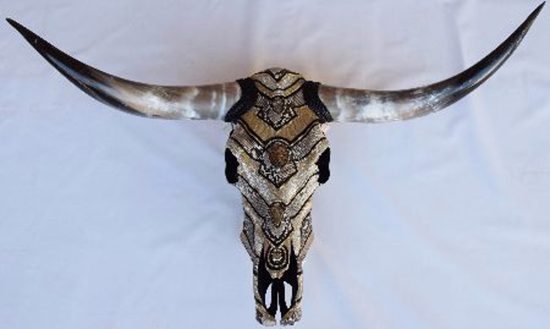 Python Longhorn by Ali Rouse