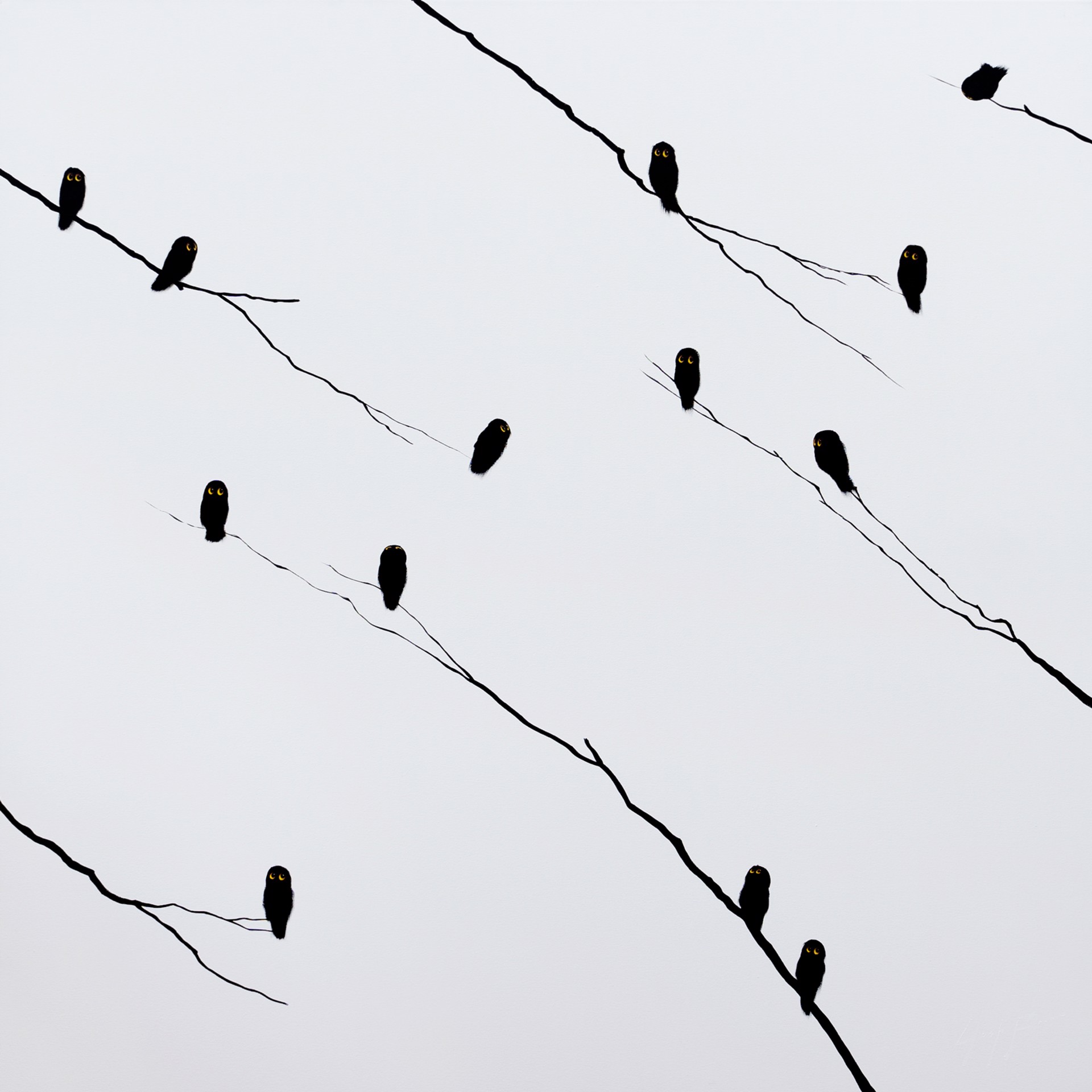 Birds on Diagonal by Josh Brown