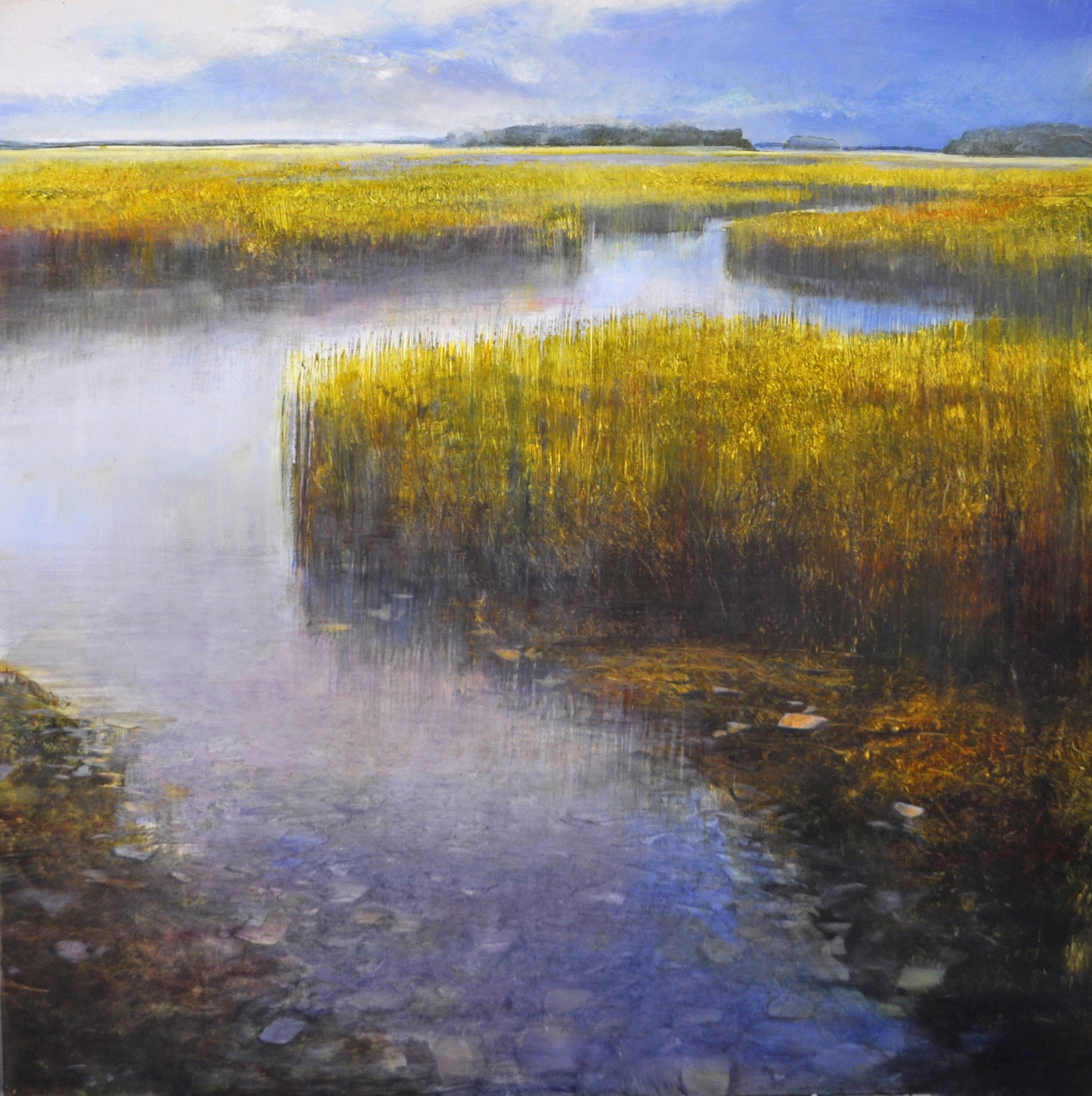 Marsh to Infinity by David Dunlop