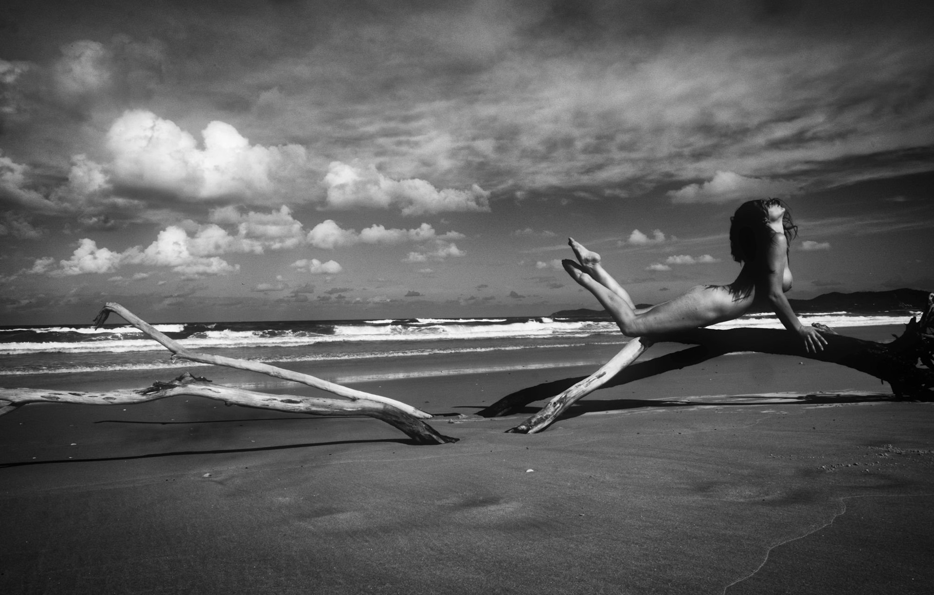 Tara - Great Sandy Seashore by Zoe Wiseman
