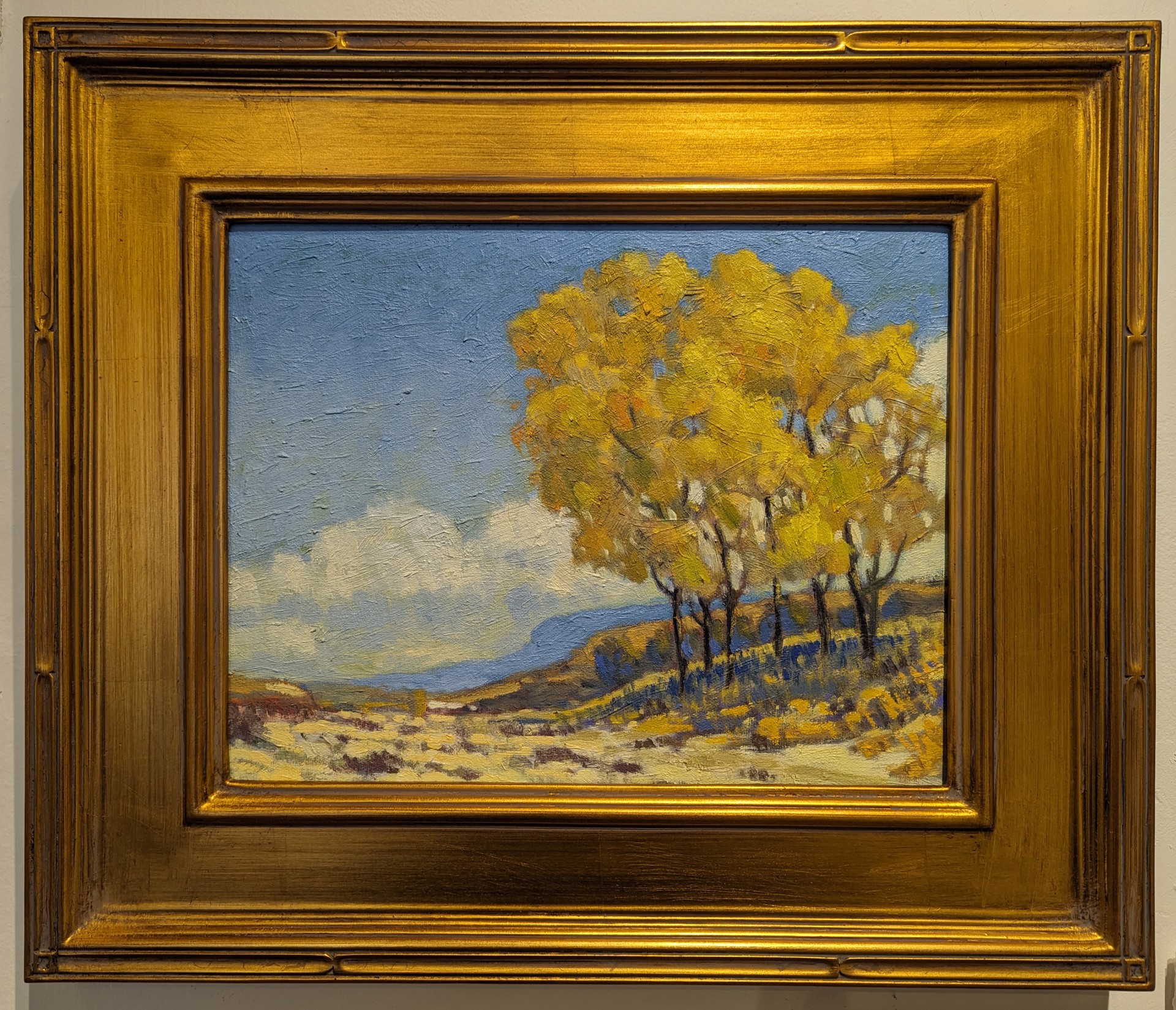 Cottonwoods Over an Arroyo by Kenneth Green