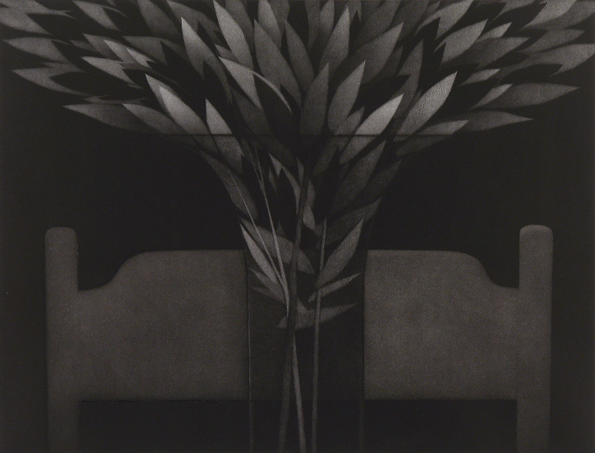 Chair & Leaves by Robert Kipniss