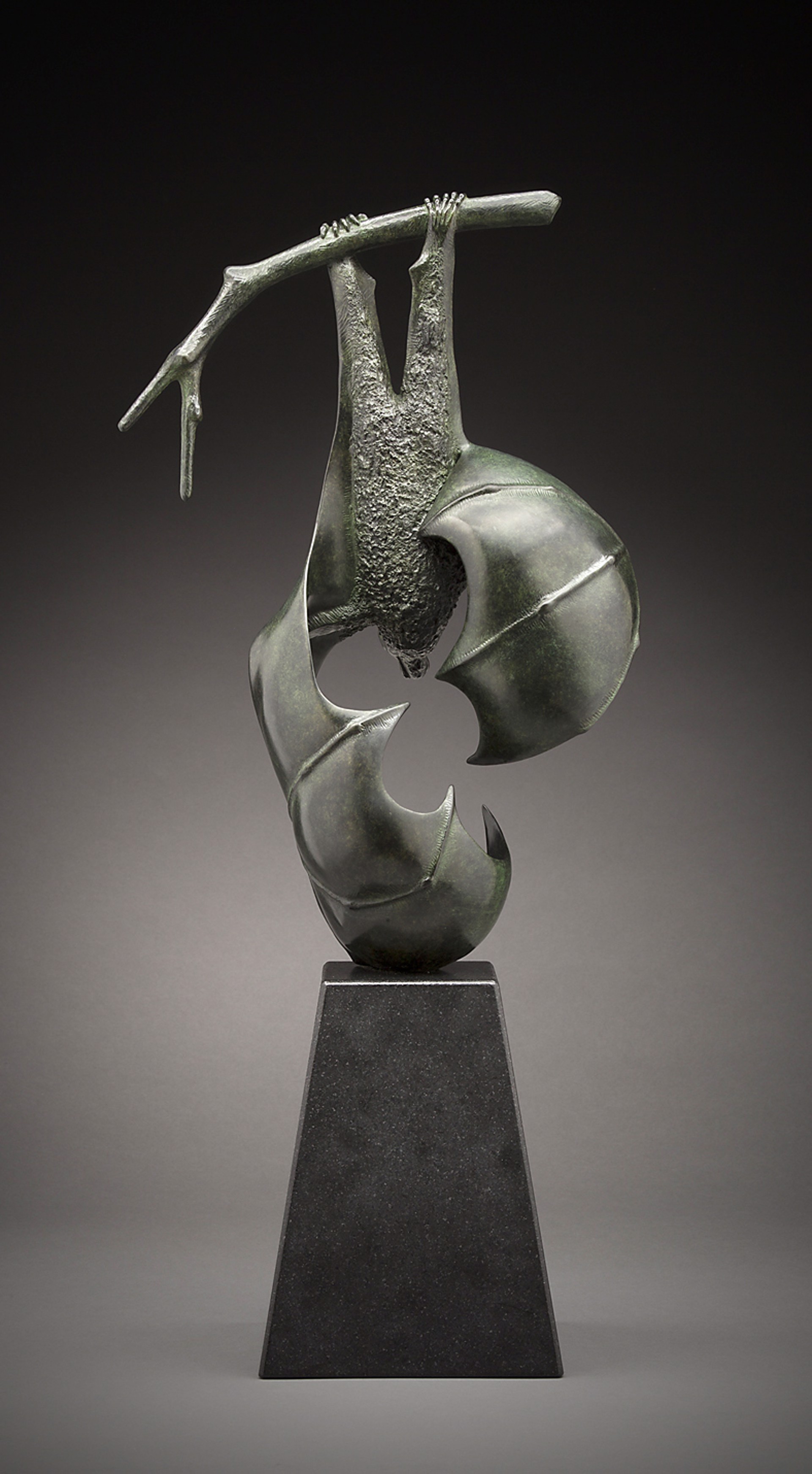 Hanging Fruit Bat by Tony Hochstetler
