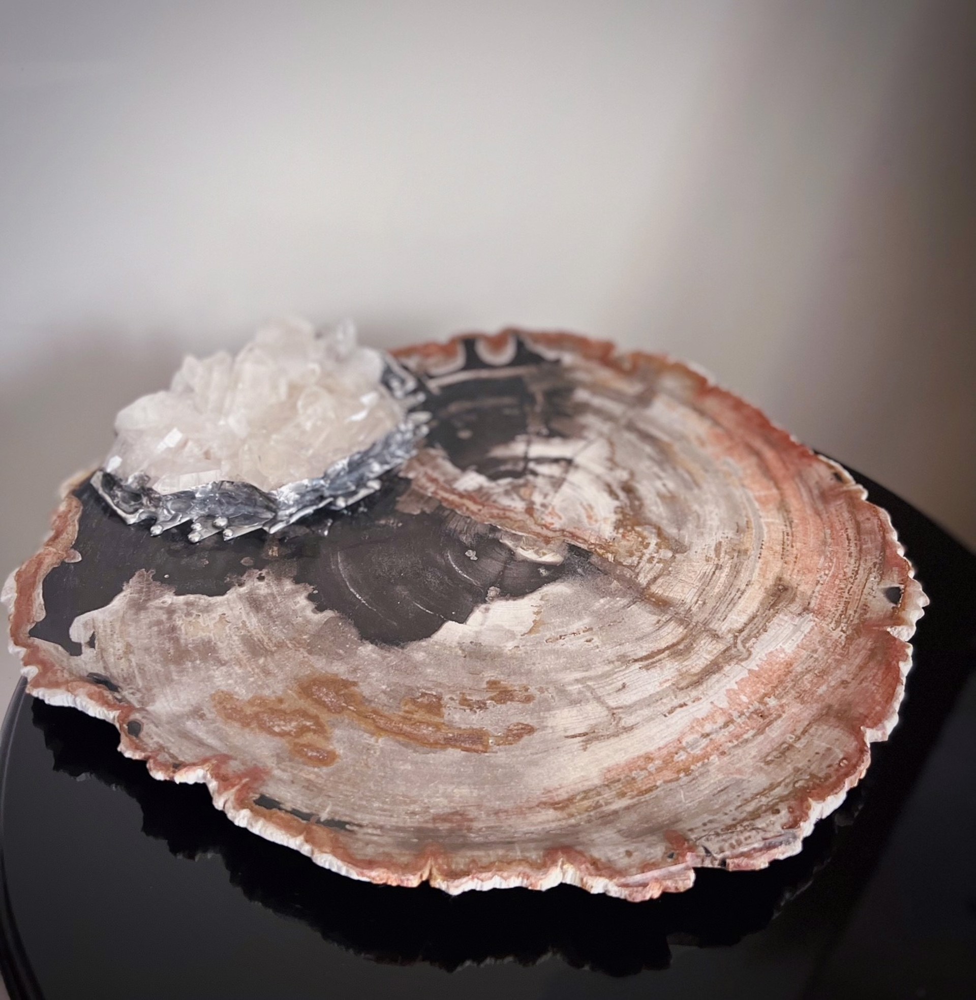 Large Rose, Black and Tan Petrified Wood Platter by Trinka 5 Designs