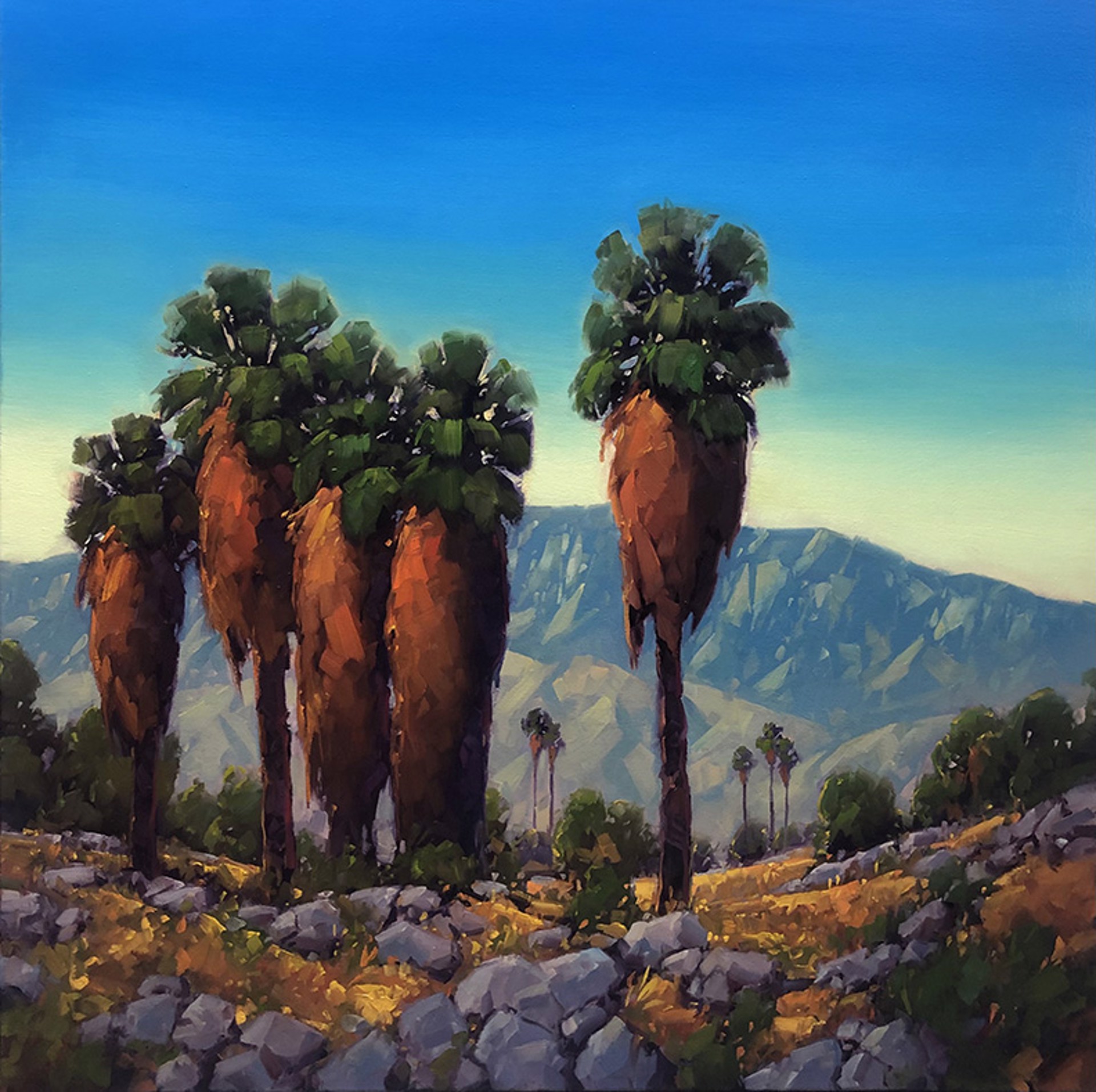 San Jacinto Backdrop by Gregory Stocks