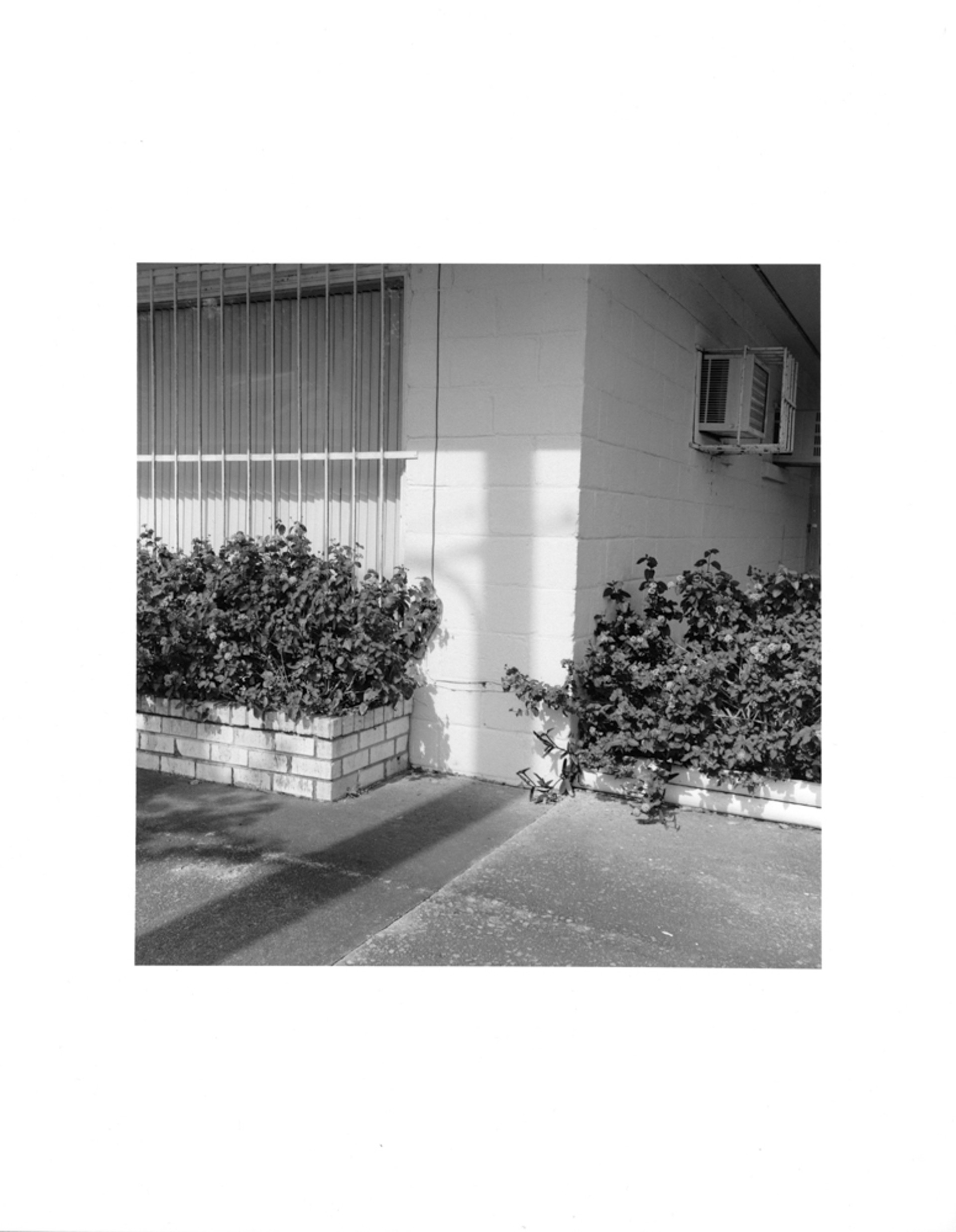 Untitled 7 by Theo Godmann