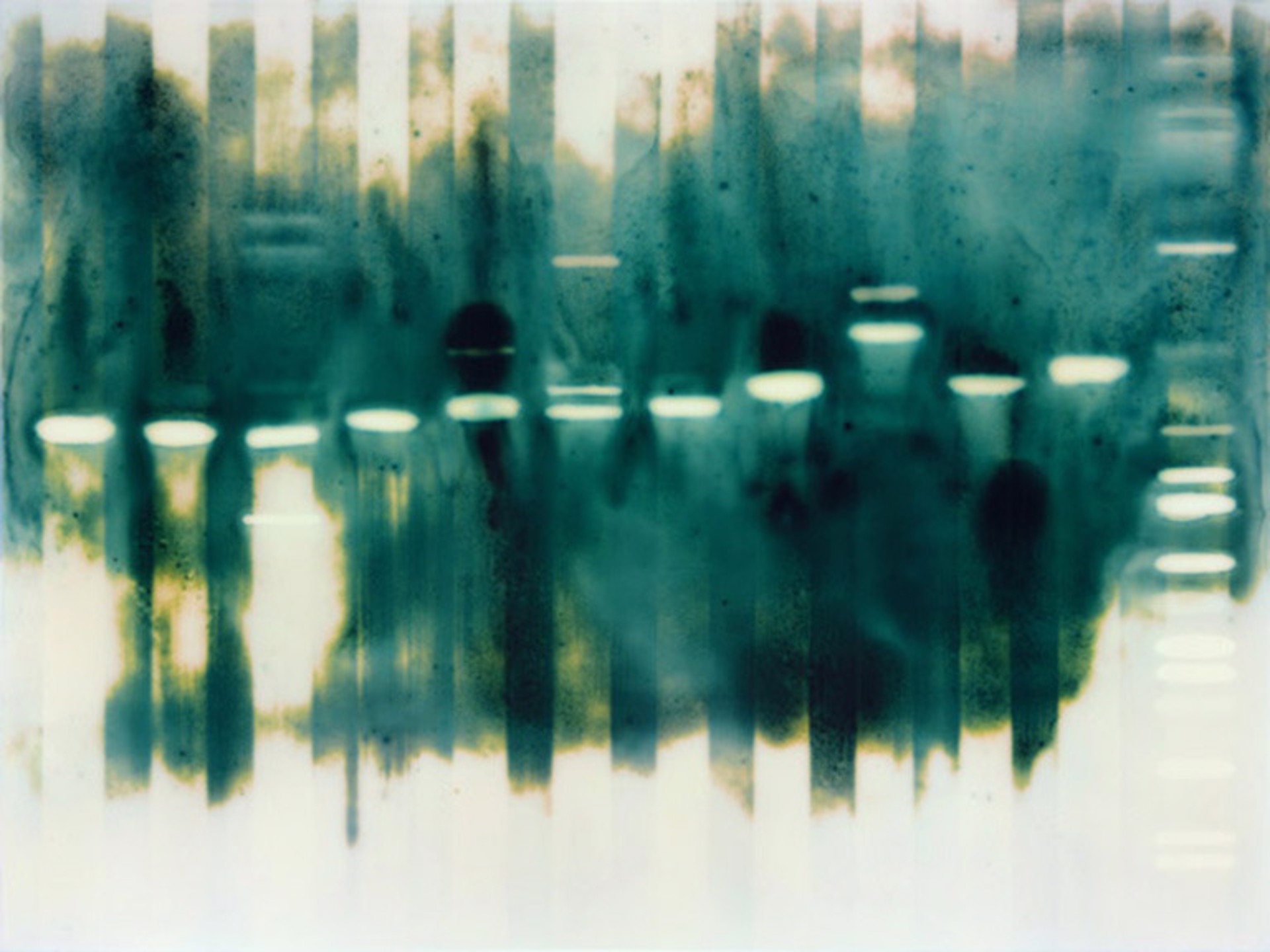 Infusion w/ BB1 by Jaq Chartier