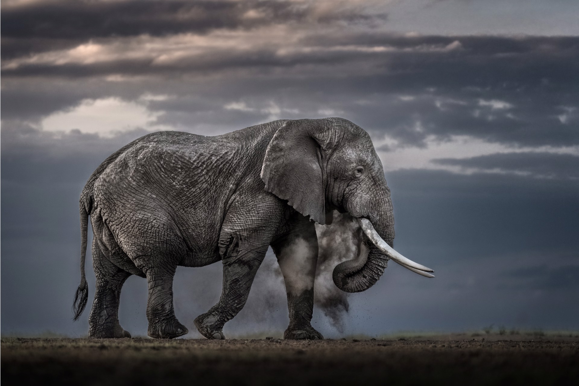 Nature Framed | Photography Collection | Mountain Galleries