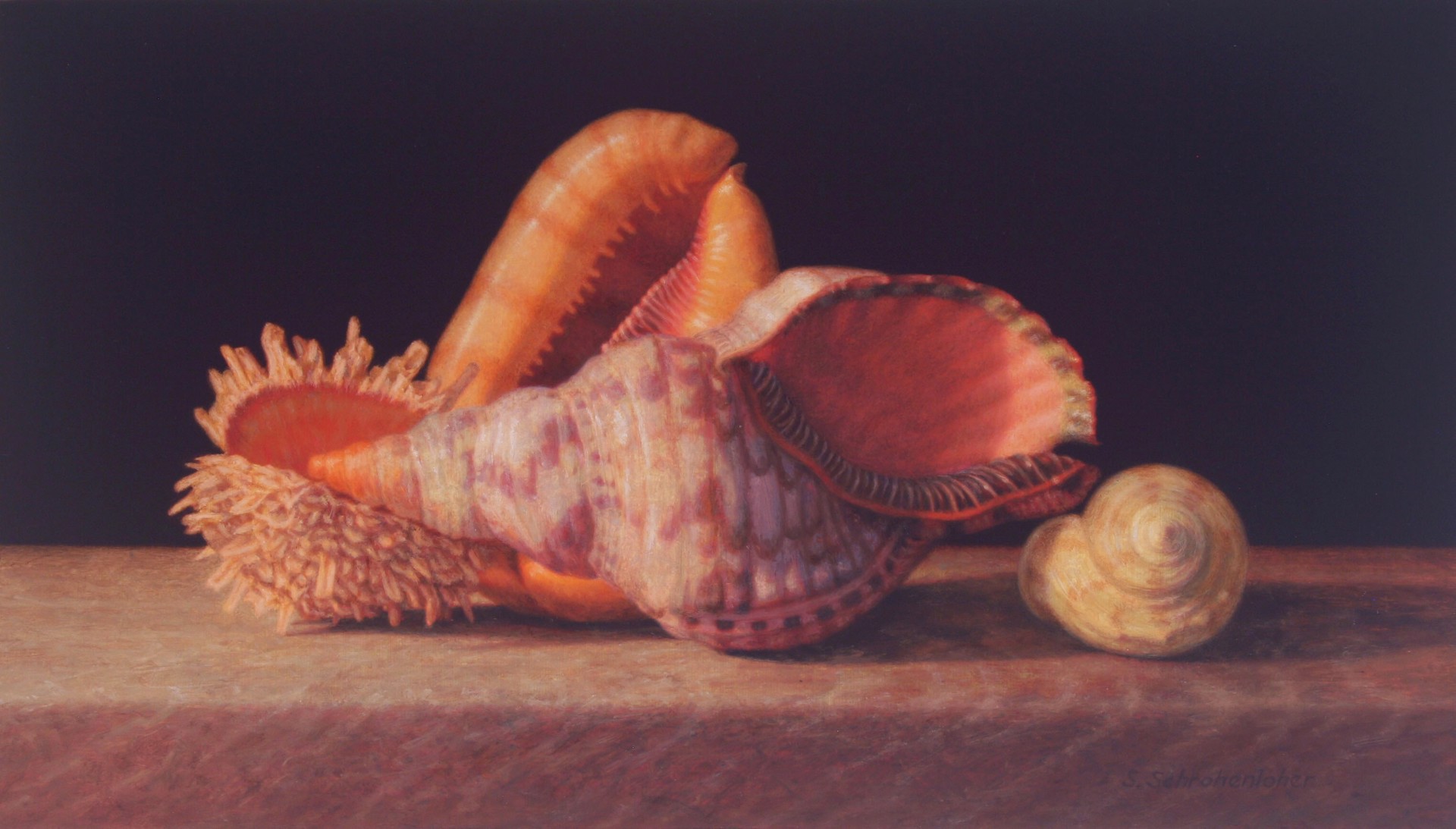 Triton Shell by Sally Schrohenloher
