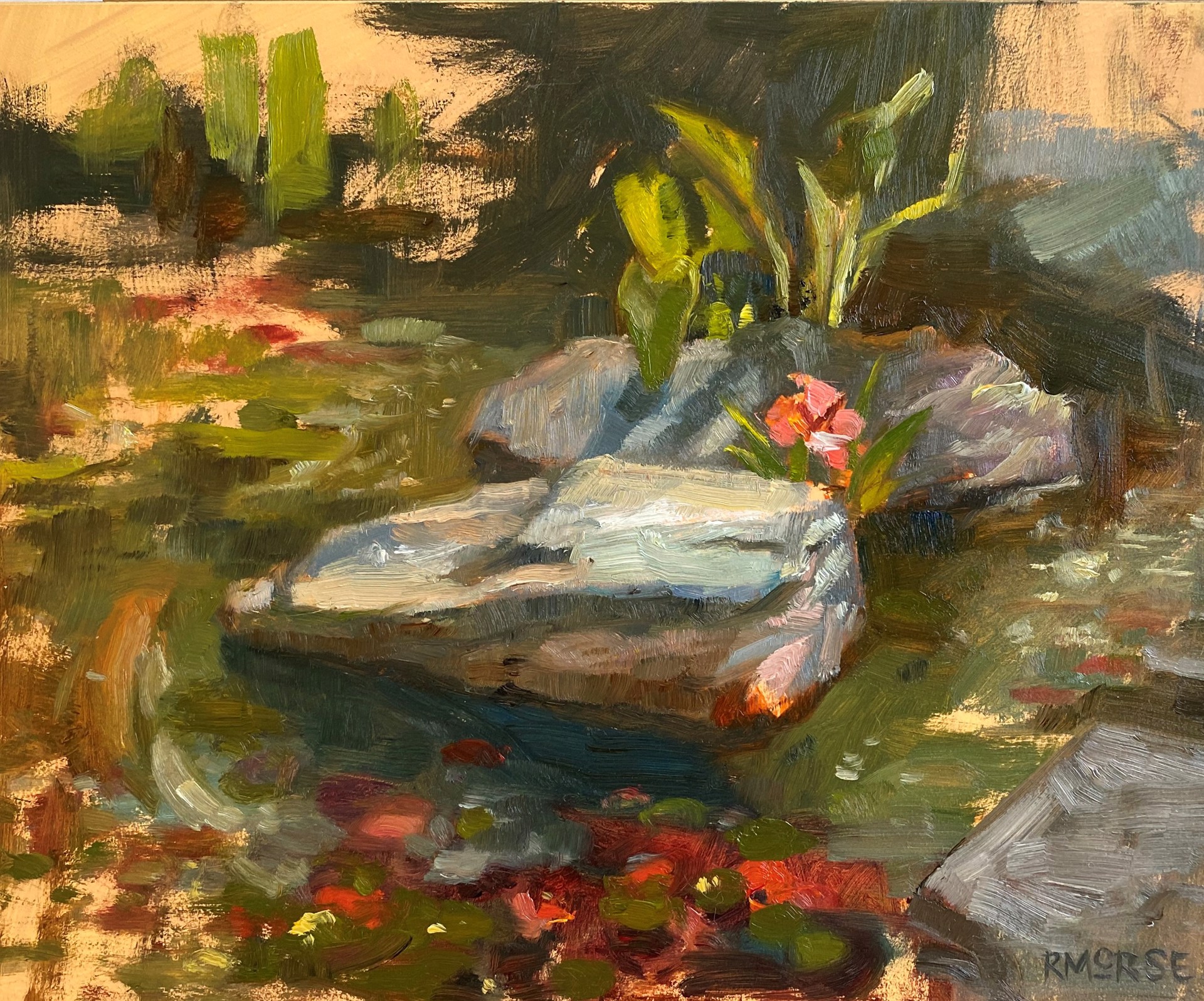 Koi Pond by Ryan Morse
