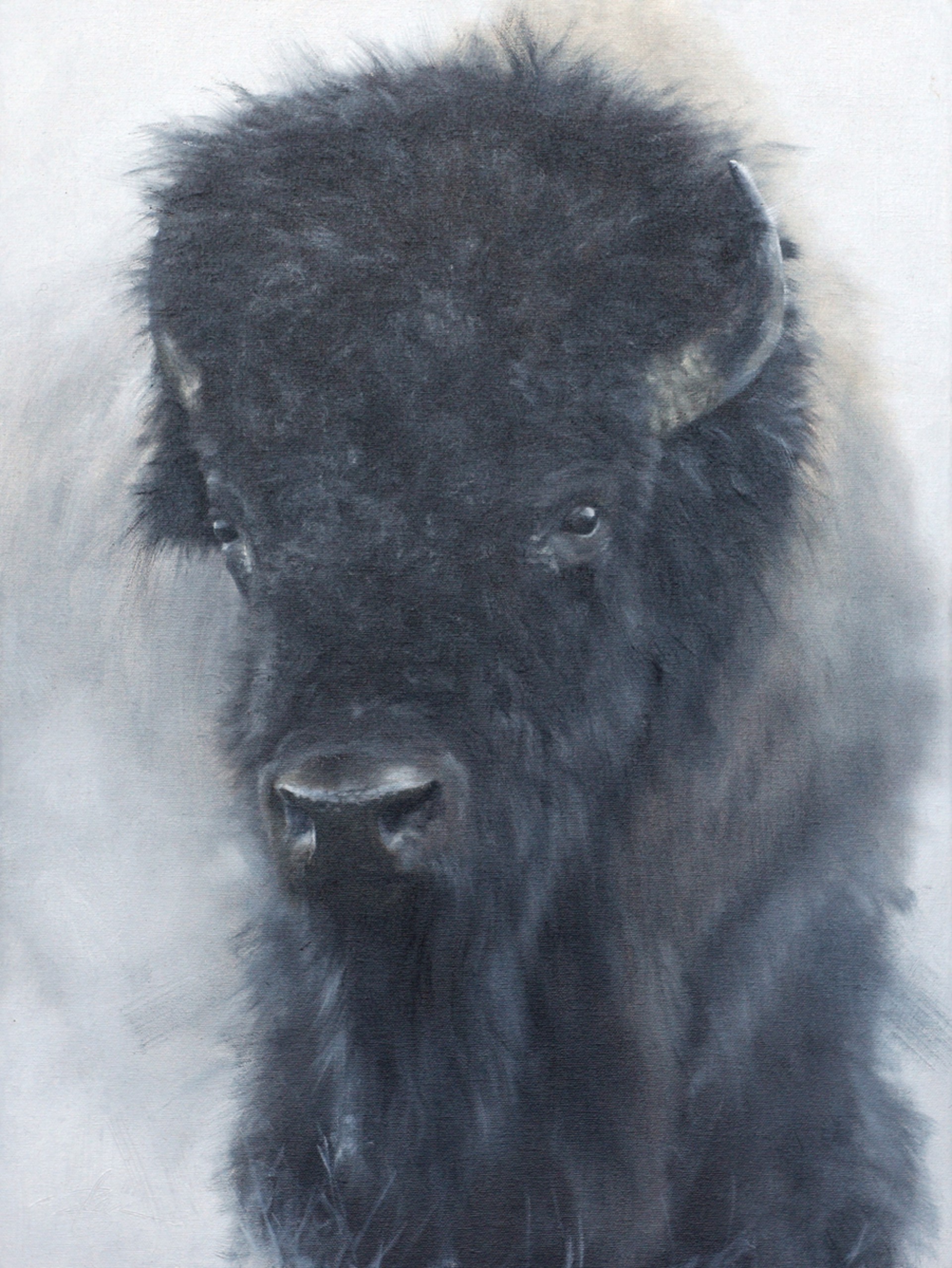 Portrait Of A Bison In A Winter Landscape