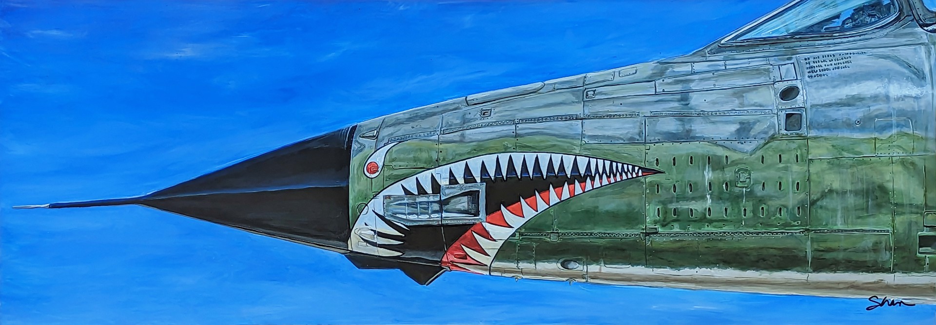 F105G Thunderbird by Shan Fannin