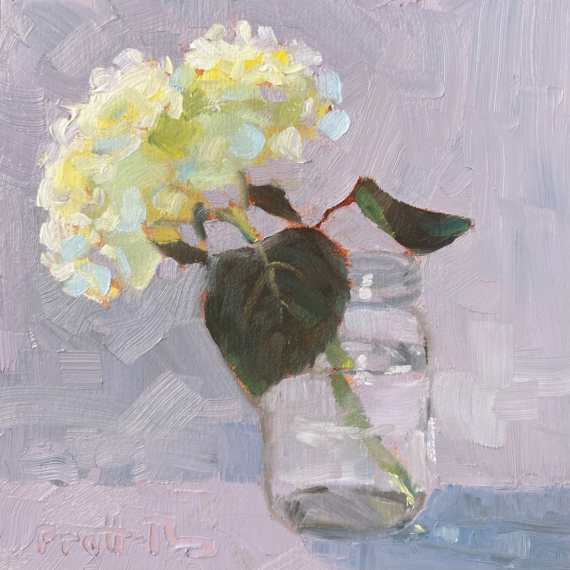 Hydrangea Blossom by Leslie Pratt-Thomas
