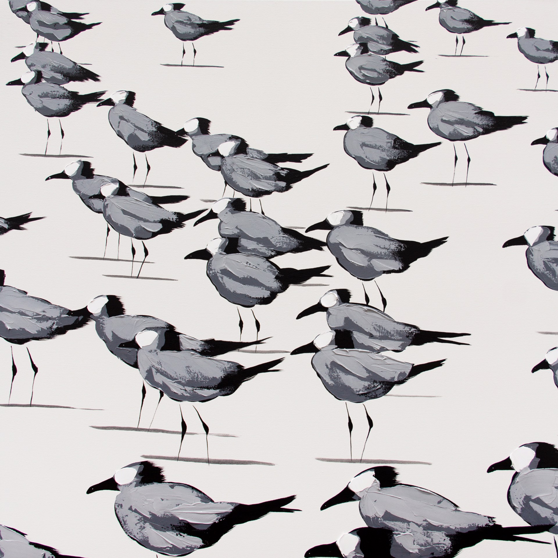 Gulls on White by Josh Brown