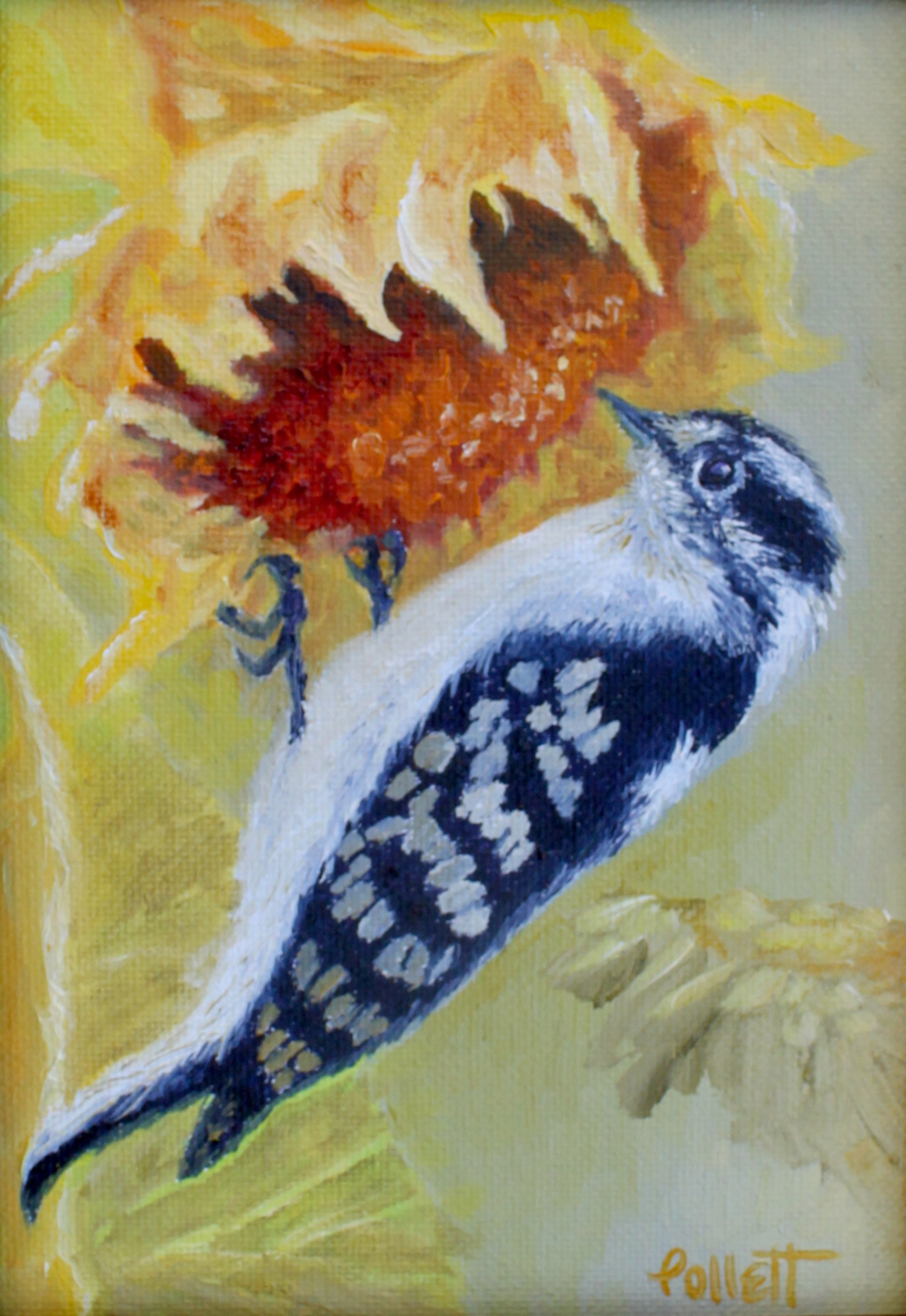 Downy Woodpecker by Cynthia Jewell Pollett
