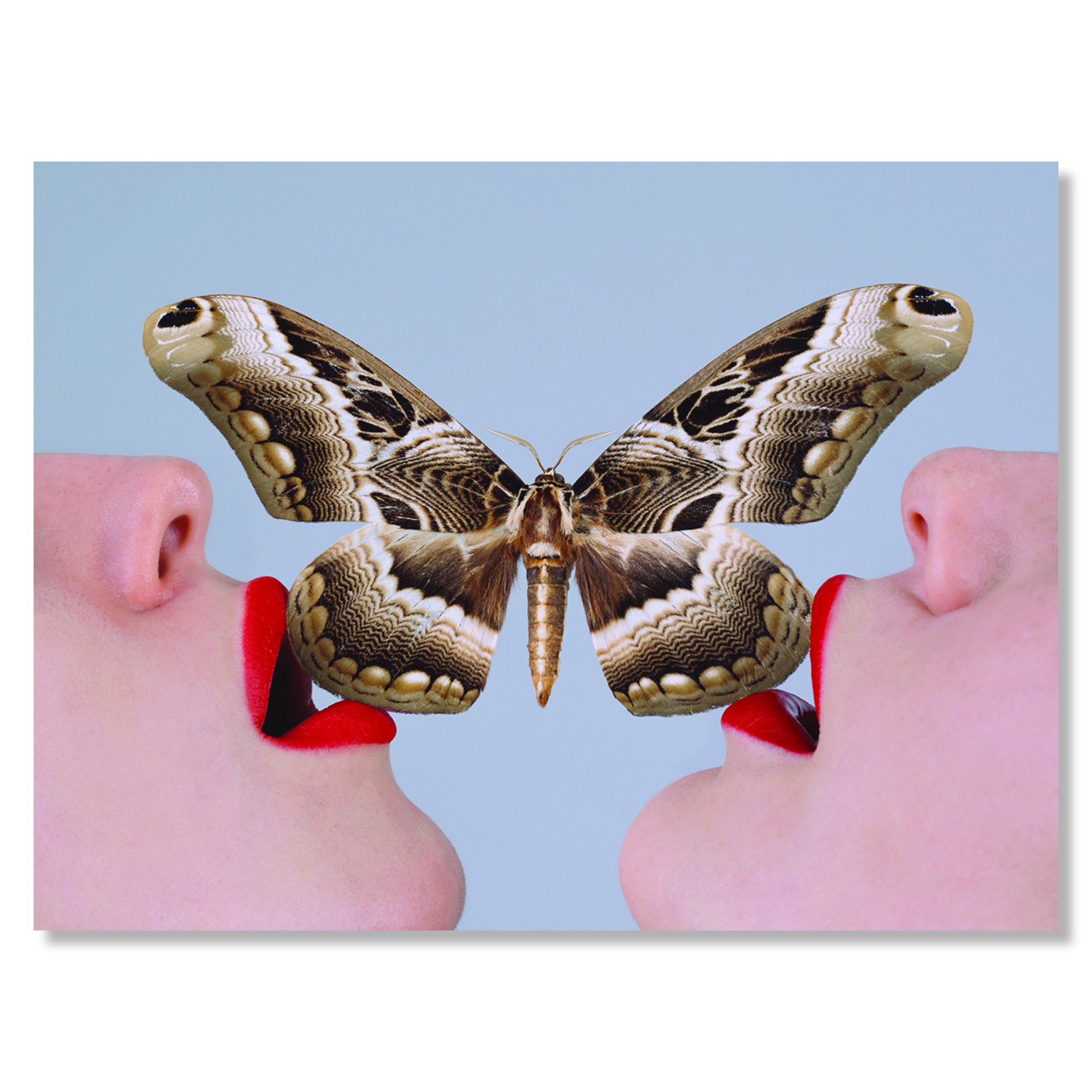 Butterfly by Tyler Shields