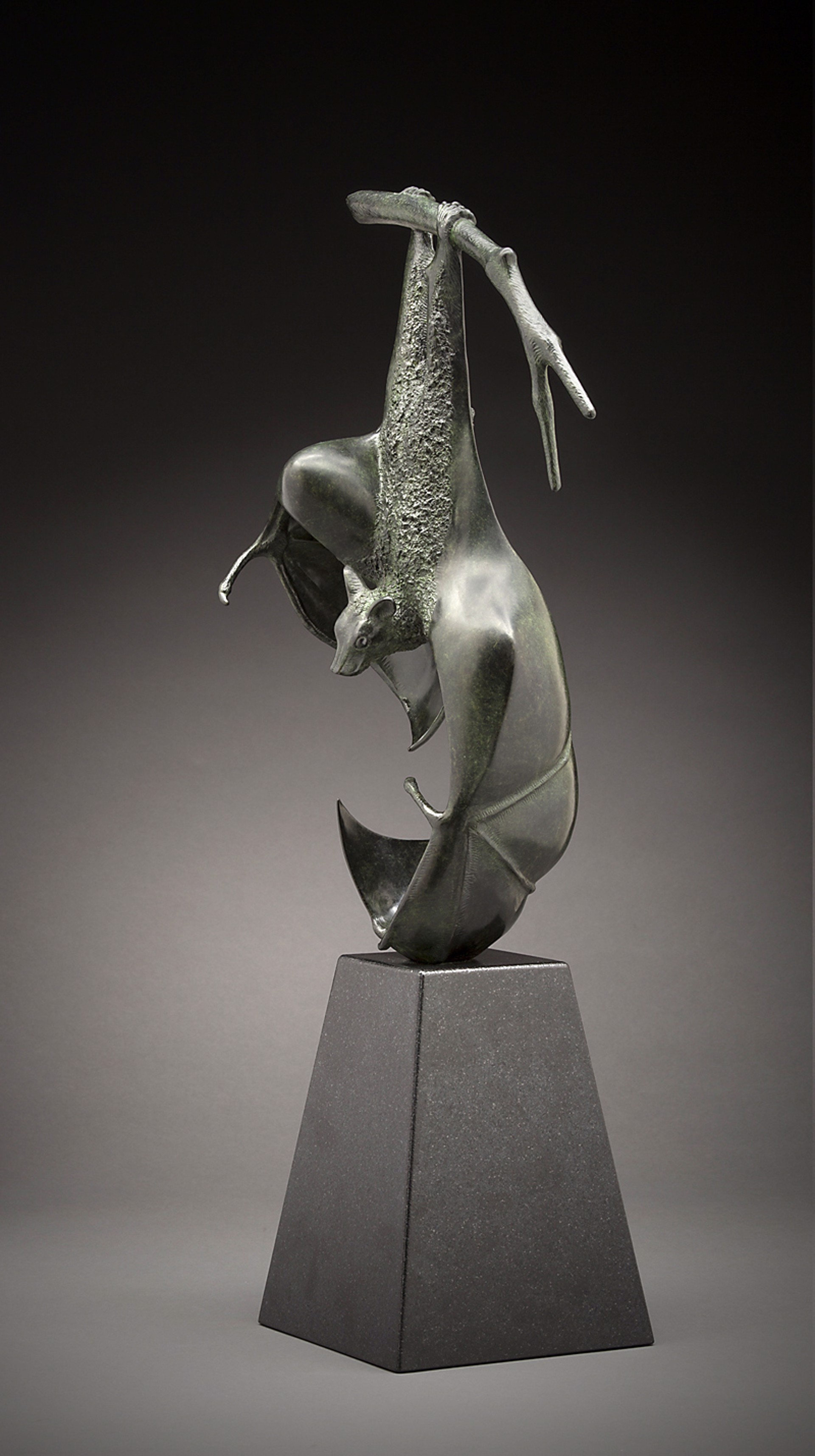 Hanging Fruit Bat by Tony Hochstetler