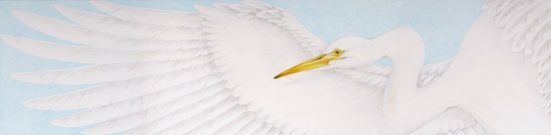 White Bird I by Mary Lee Eggart