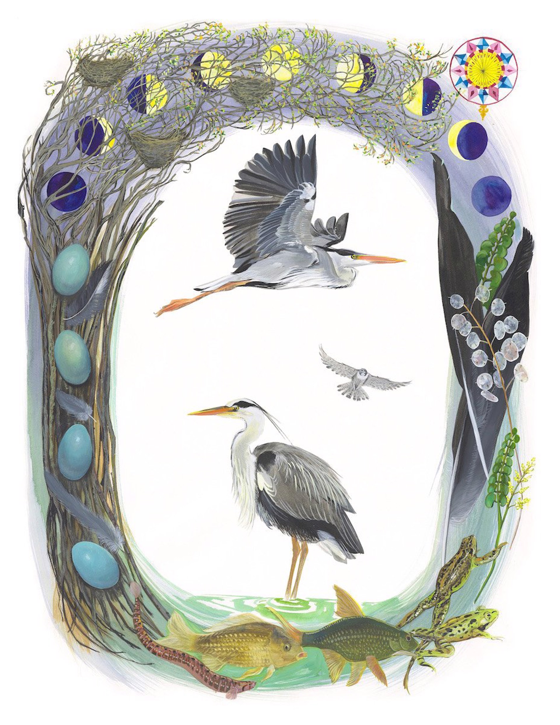 Birds of Shakespeare: Grey Heron (Ardea cinerea) by Missy Dunaway