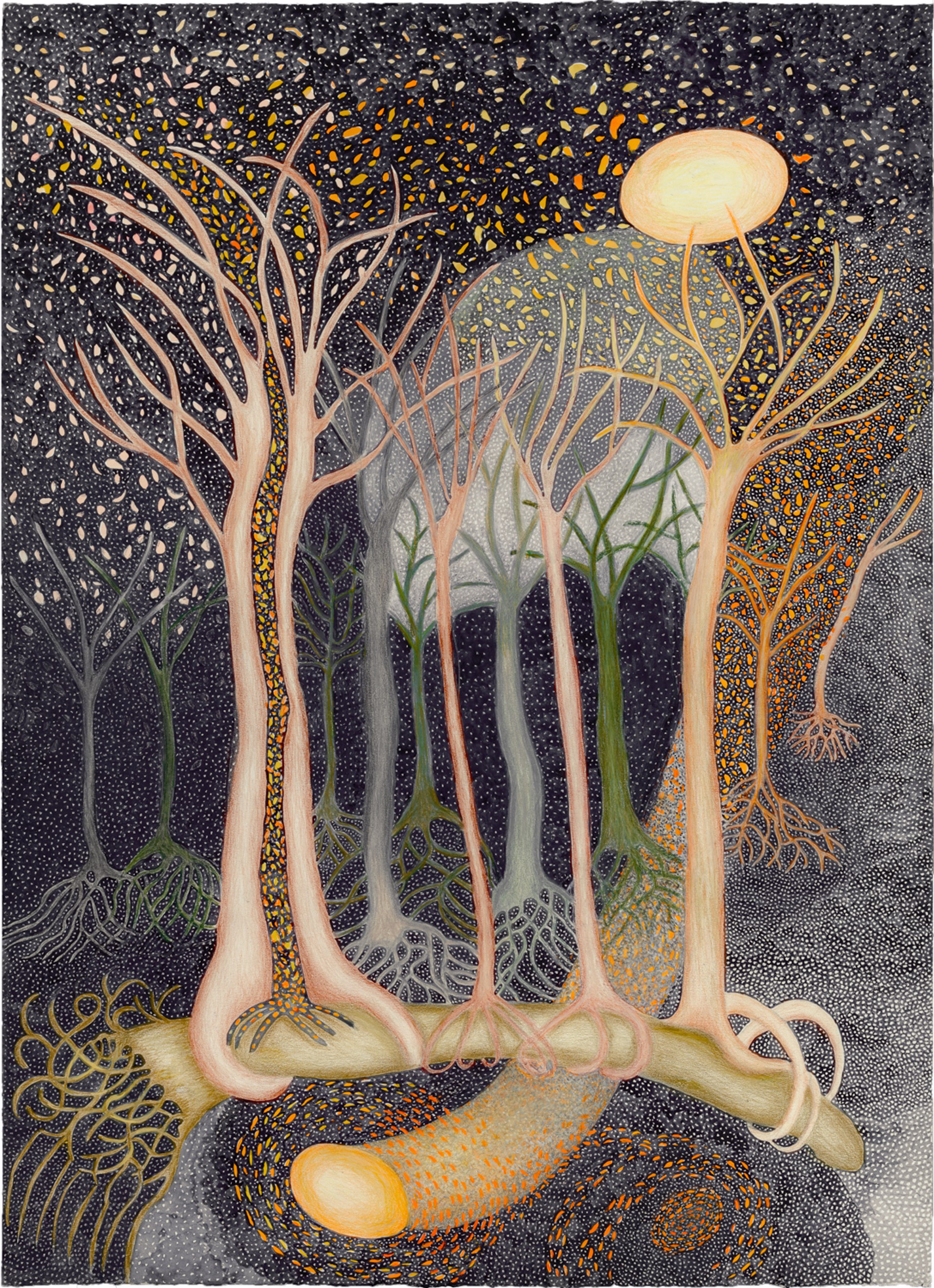 Nurse Log Forest by Ann Leda Shapiro