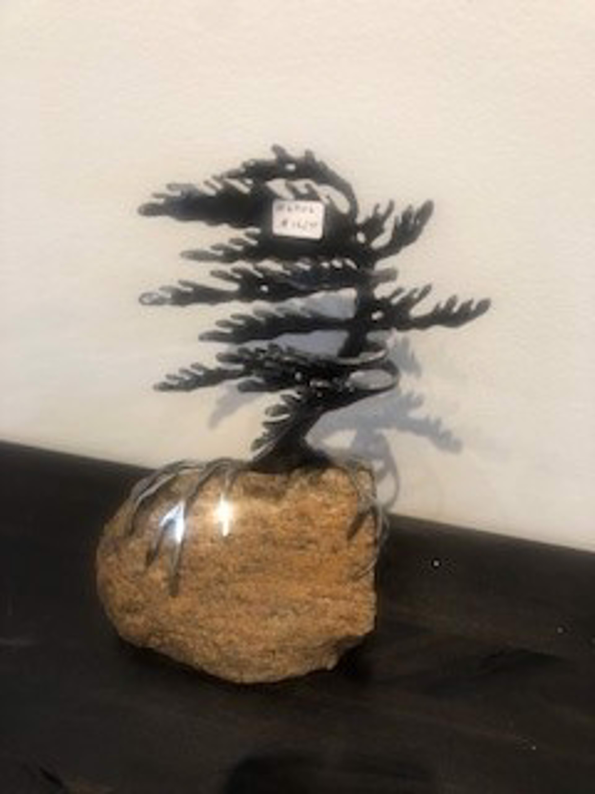 Pine Tree on a Rock - #6306 by Cathy Mark