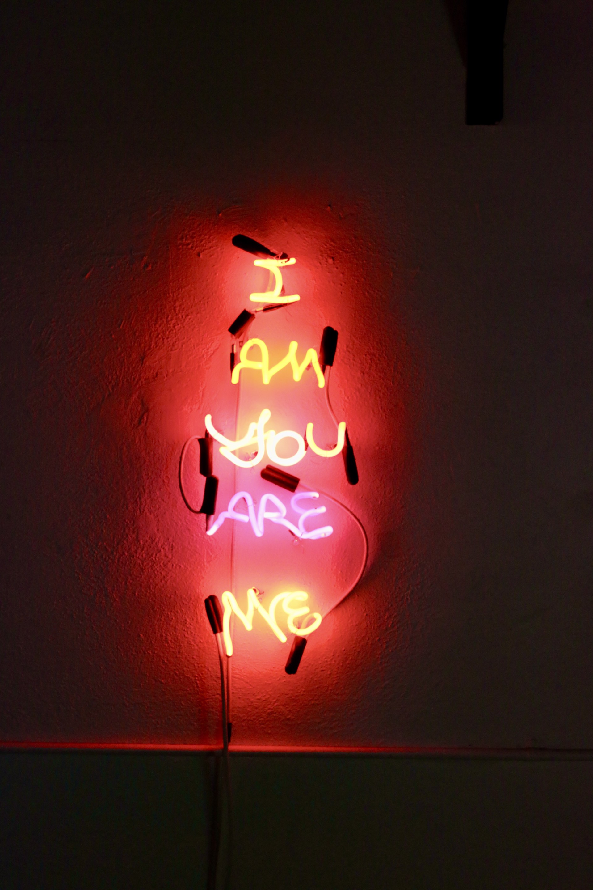 I am you are me by Yale Wolf