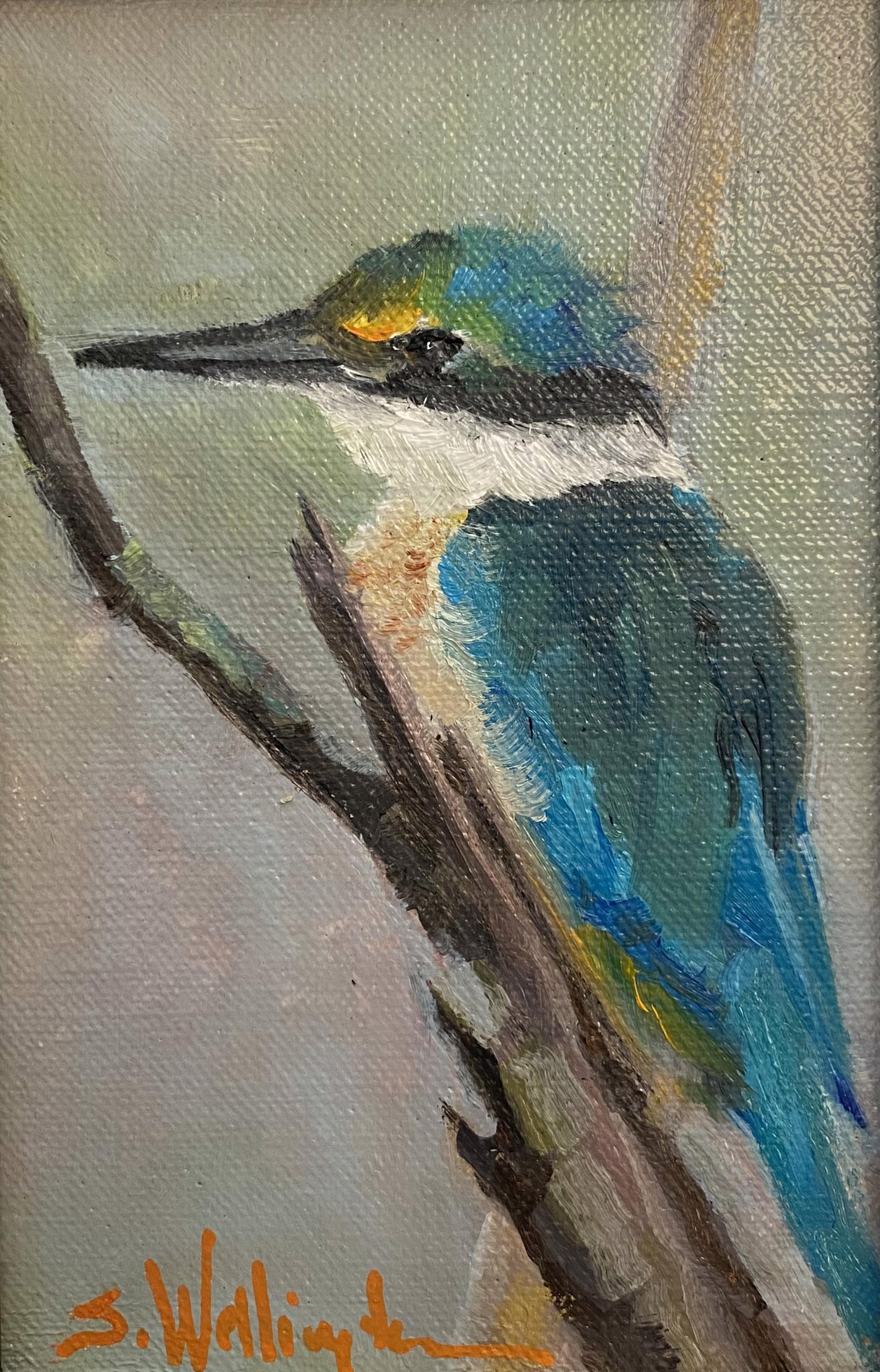 The Kingfisher by Susan Wellington