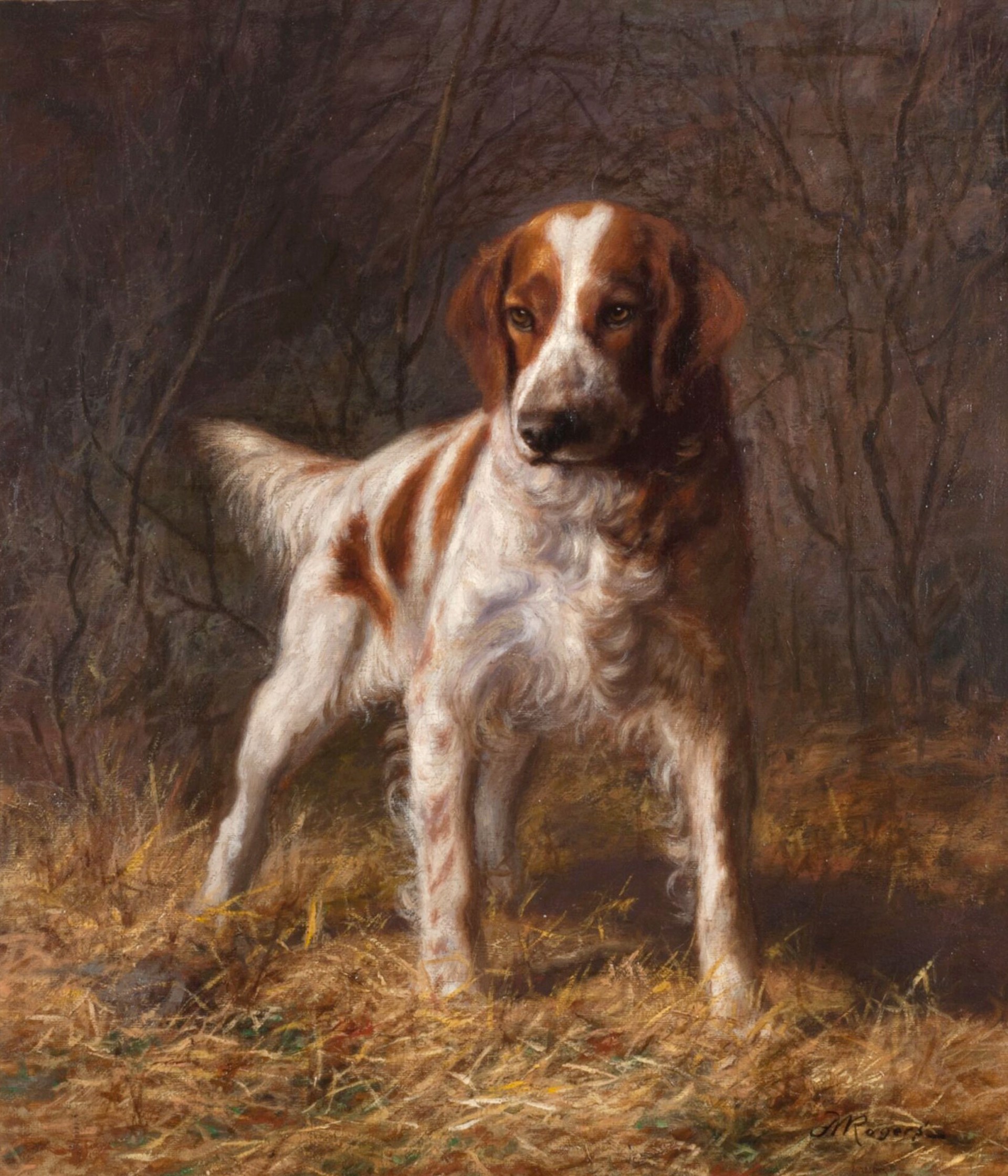 Setter on Point at Twilight by Franklin Whiting Rogers