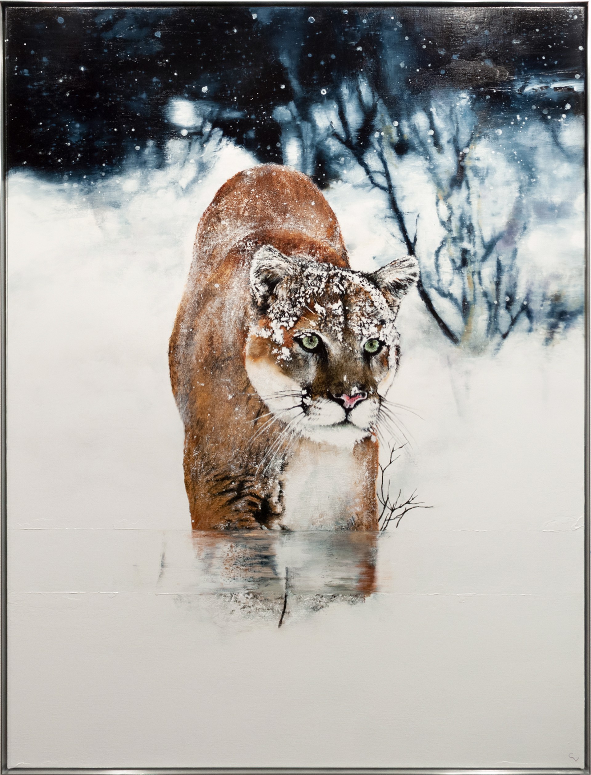Cougar by Chris Veeneman