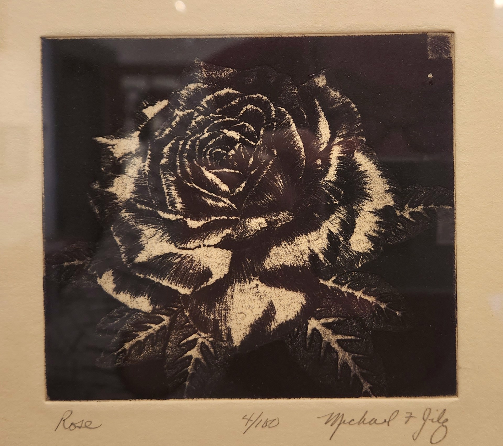 Rose  (4/100) by Michael Florian Jilg