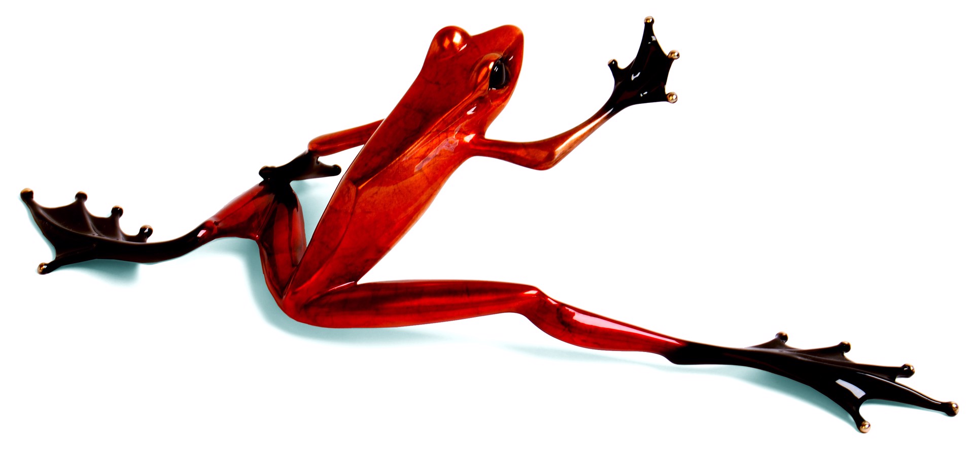 Steppin' Out II - Platinum Frog - Red Nitrate BF78S3 by Tim Cotterill