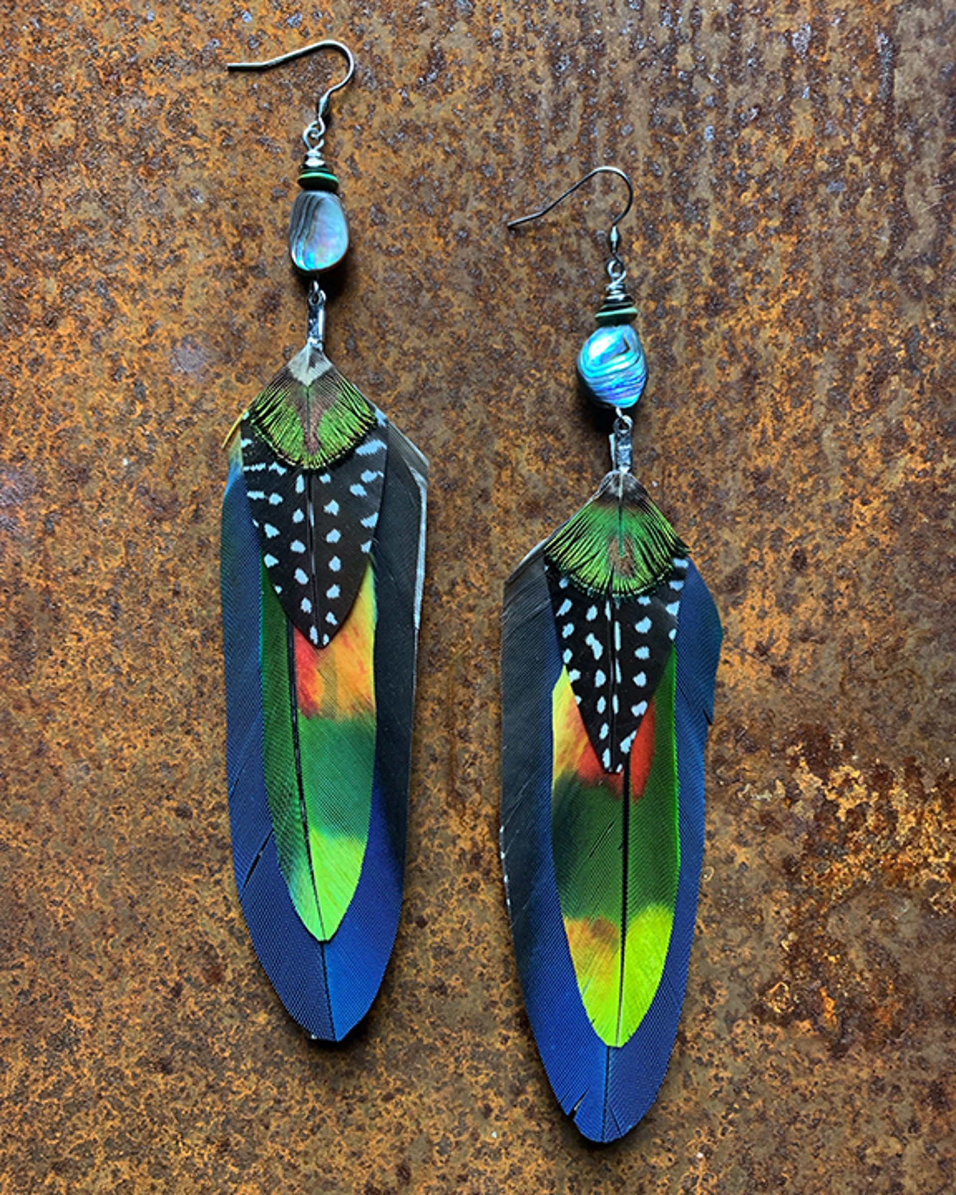 K726 Ethically Sourced Parrot Earrings by Kelly Ormsby