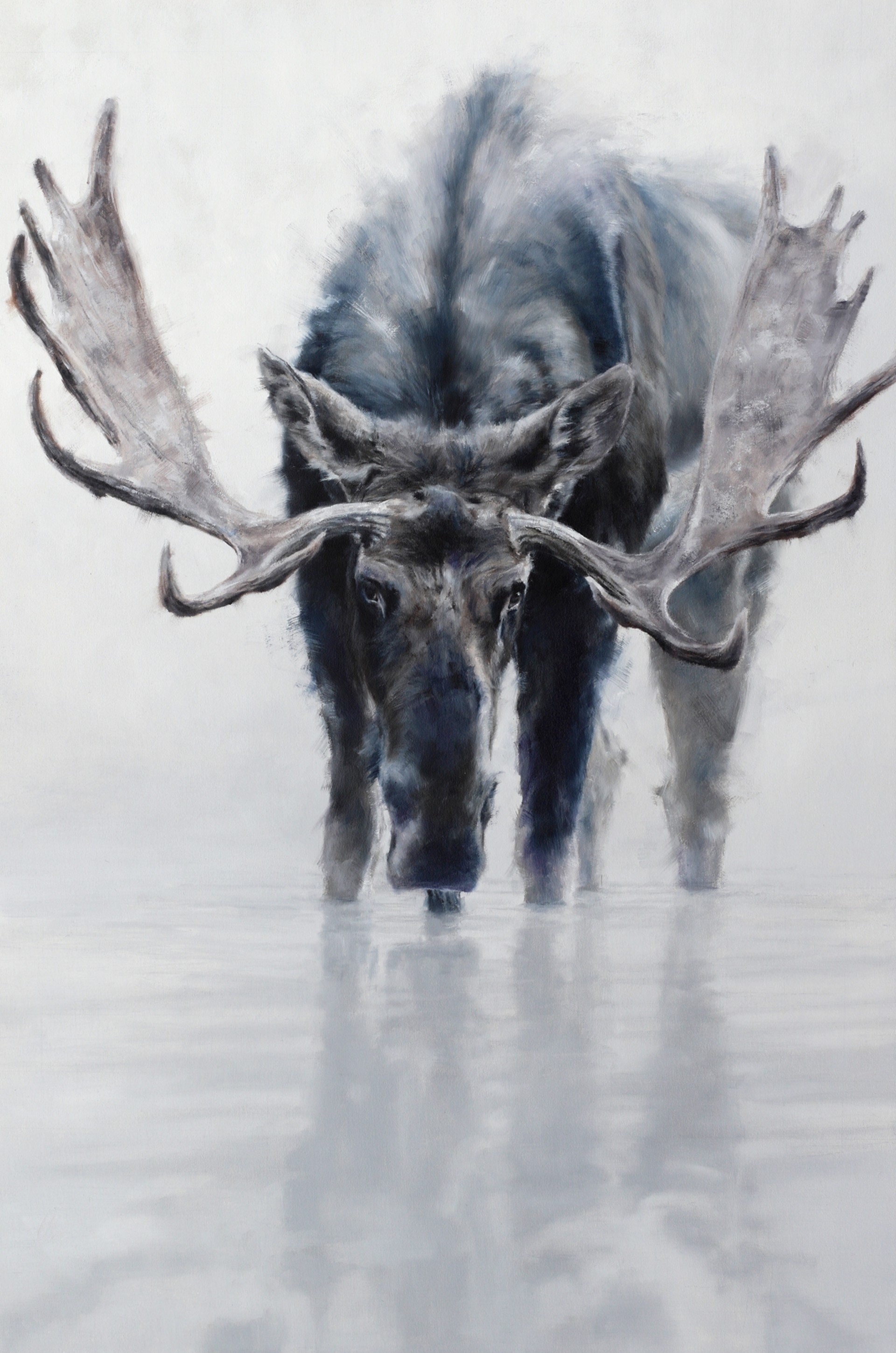 Original Contemporary Oil Painting Of A Bull Moose Standing IN Water With His Reflection  In Front Of Him, By Doyle Hostetler
