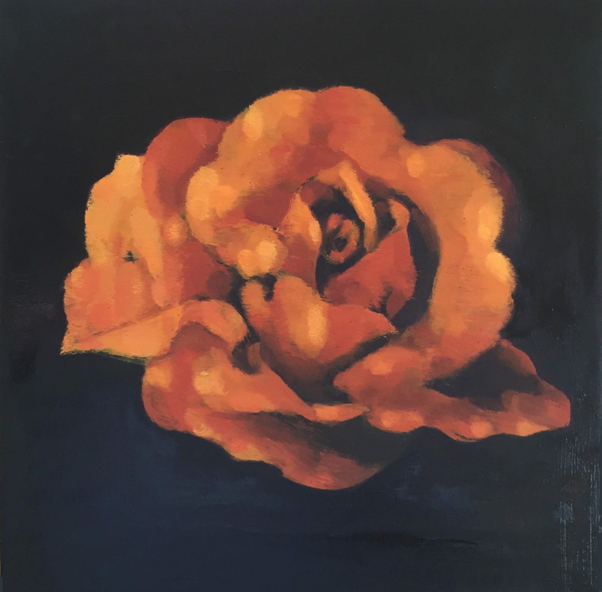 Rose in the Dark by Stephanie Peek