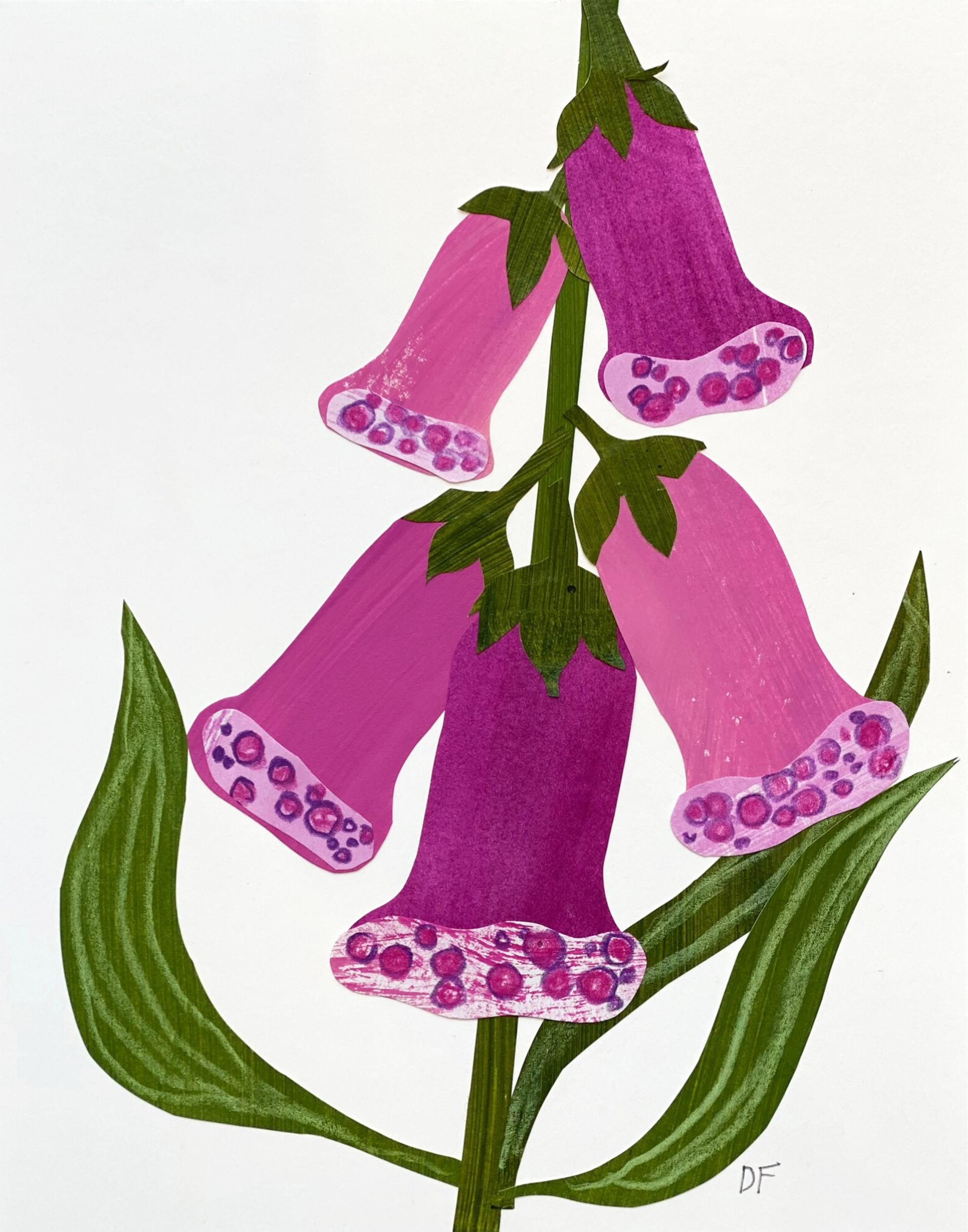Pink Foxglove Collage by DENISE FIEDLER