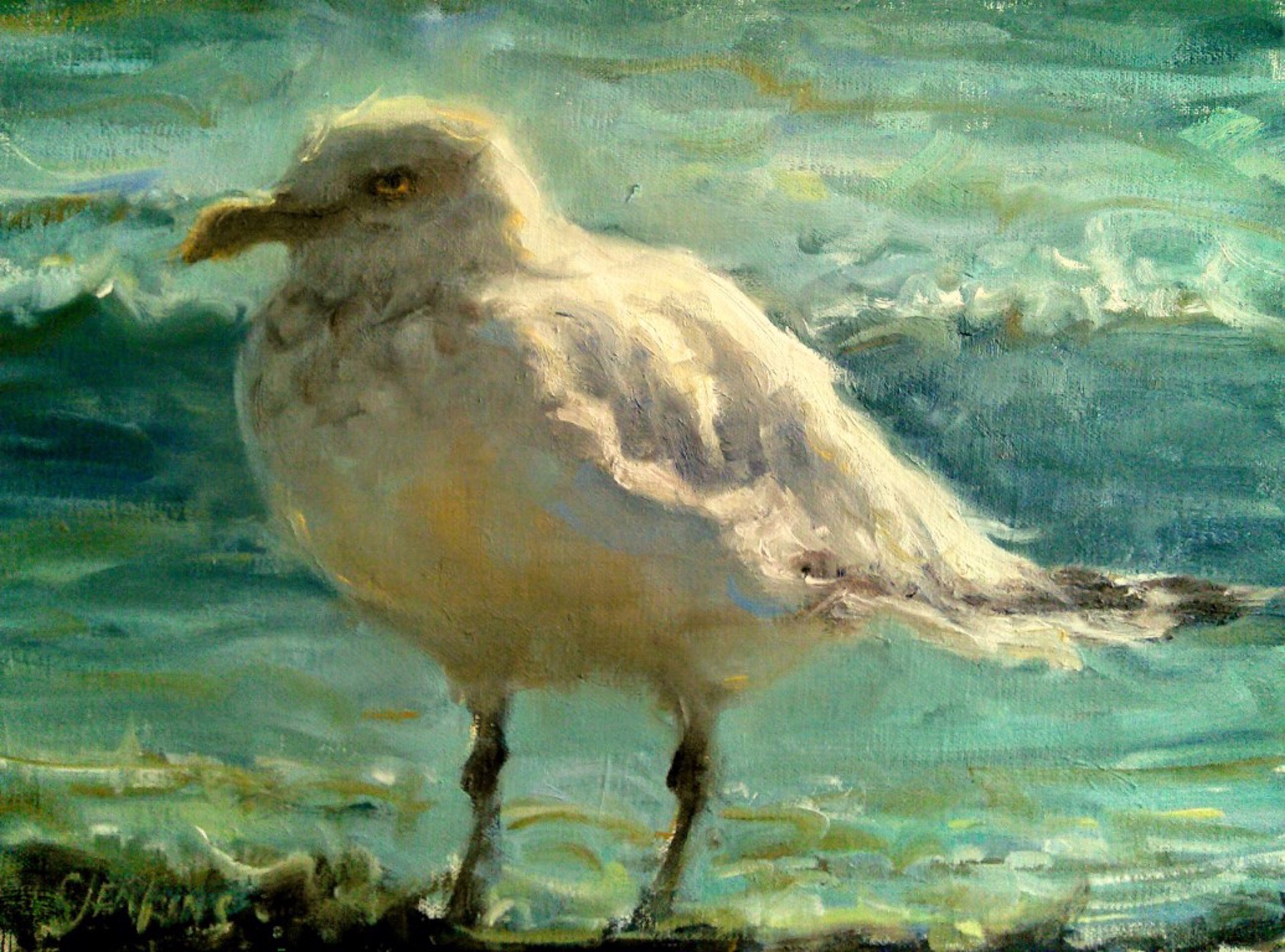 Seagull by Carol Jenkins