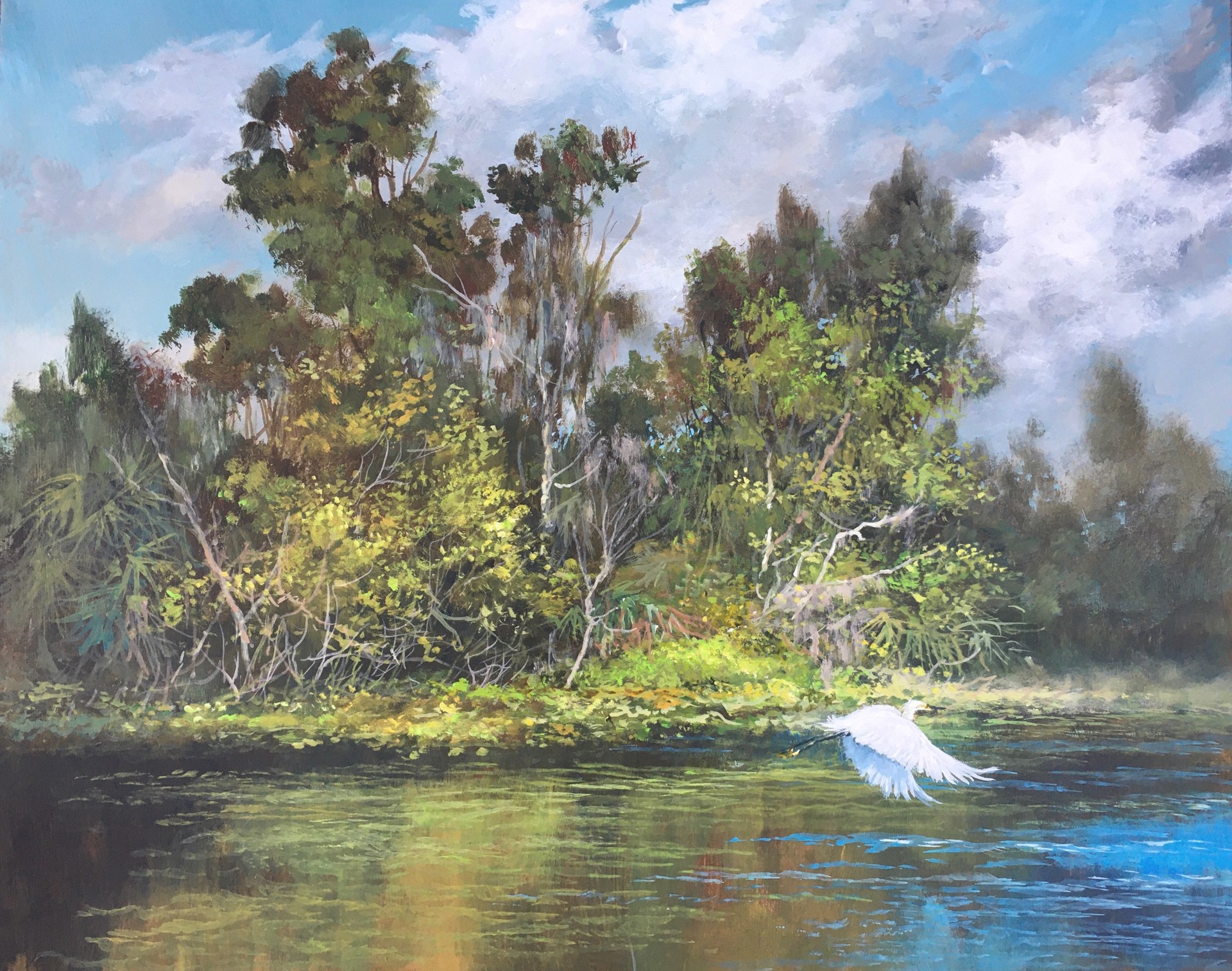 Wekiva River by Scott Hiestand