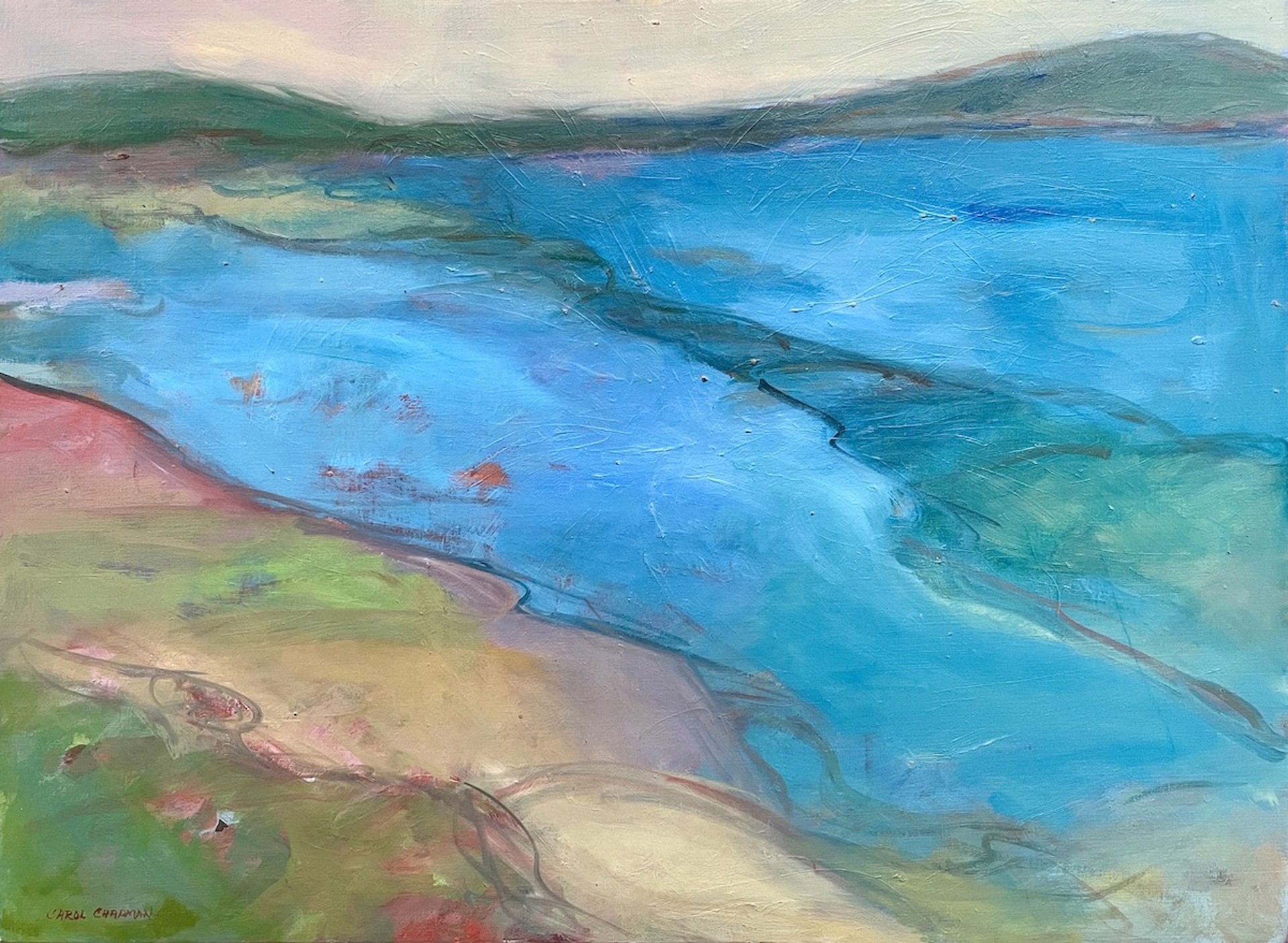 Lagoon I by Carol Chapman