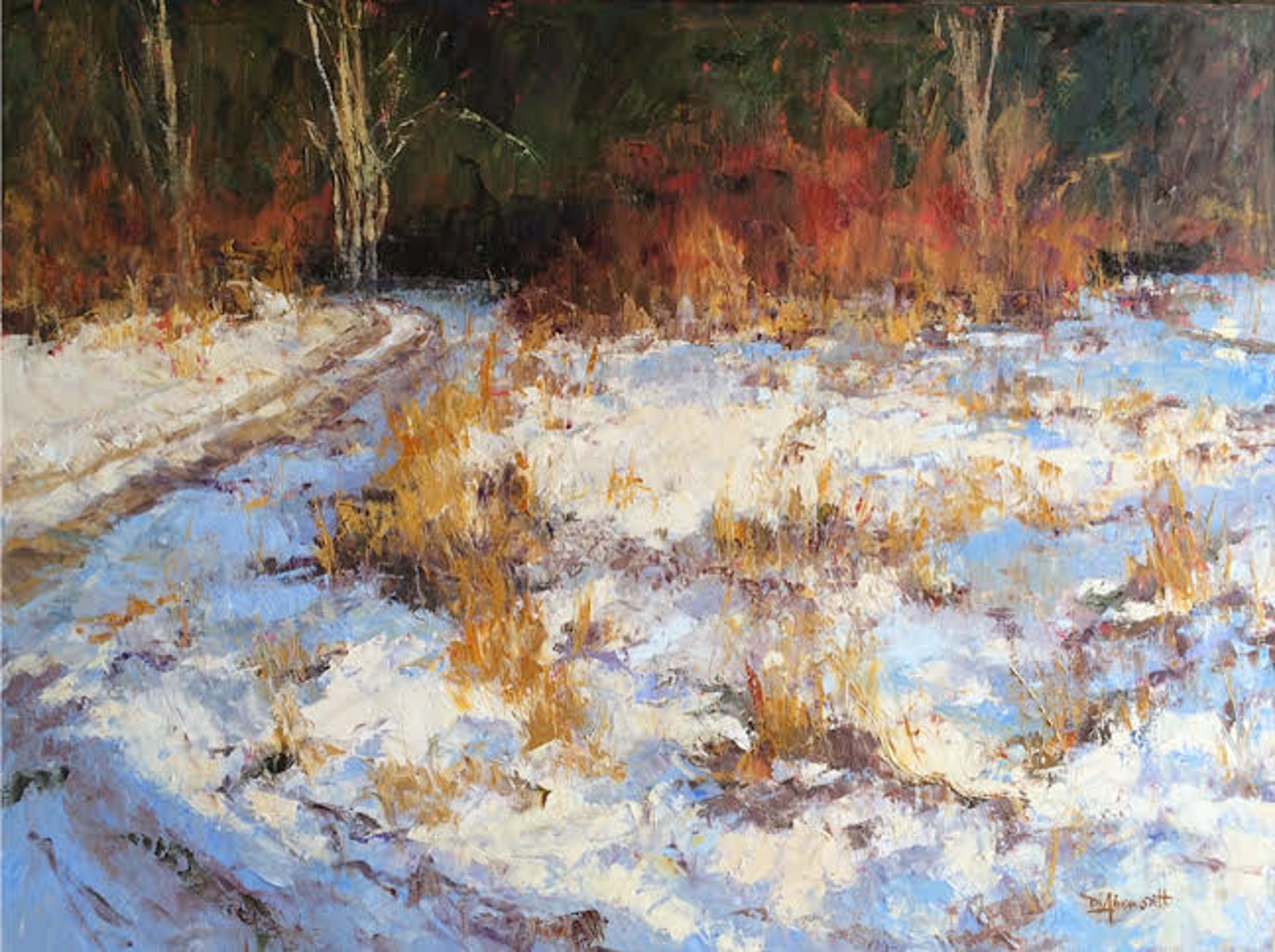 Snowy Path by Diane Ainsworth