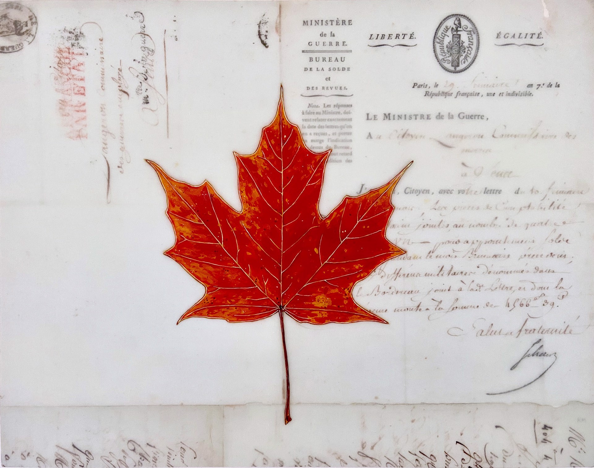 Red Maple Leaf #1 by Kenna Moser